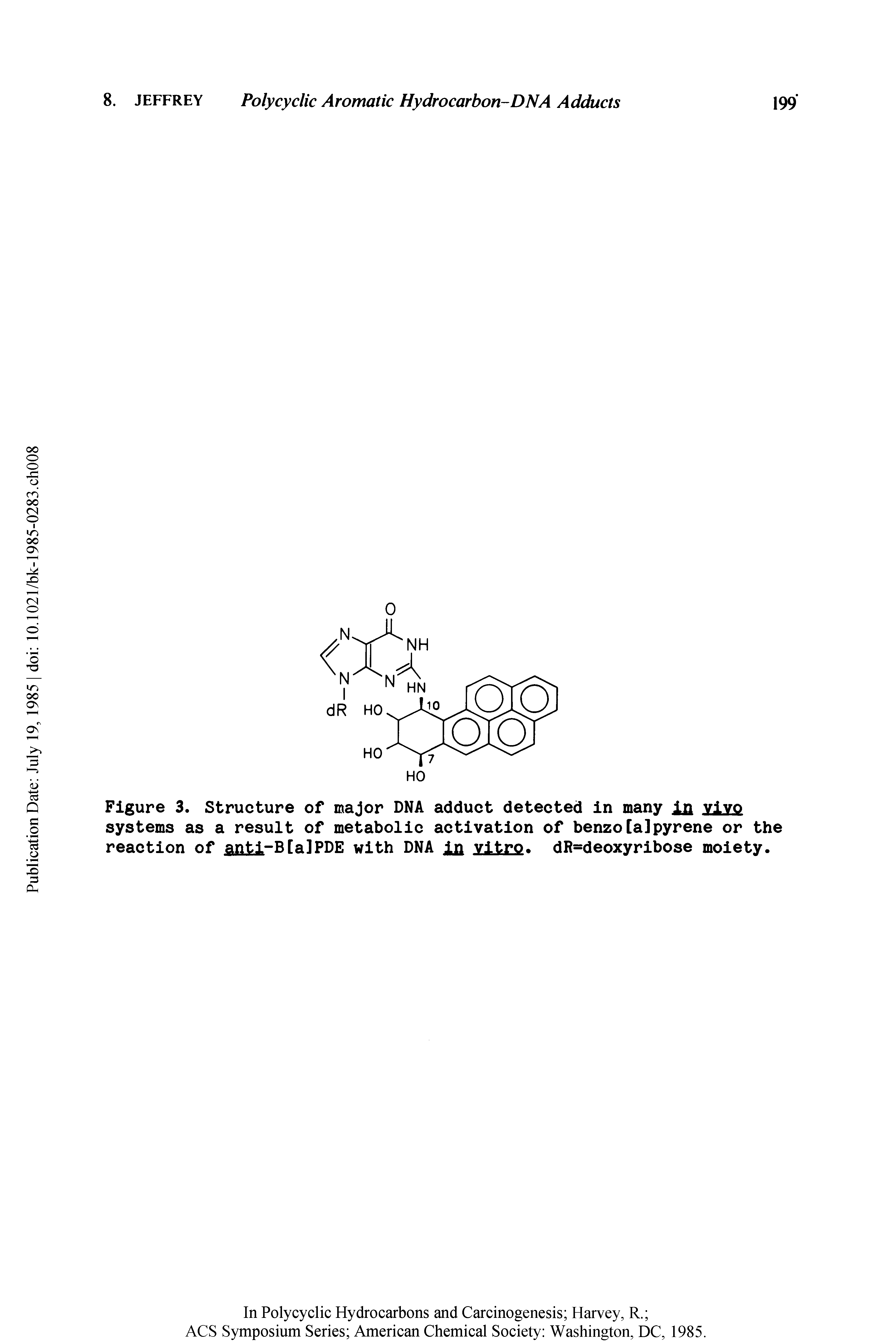 Figure 3. Structure of major DNA adduct detected in many in vivo systems as a result of metabolic activation of benzo[a]pyrene or the reaction of anti-B[alPDE with DNA jji vitro dR=deoxyribose moiety.