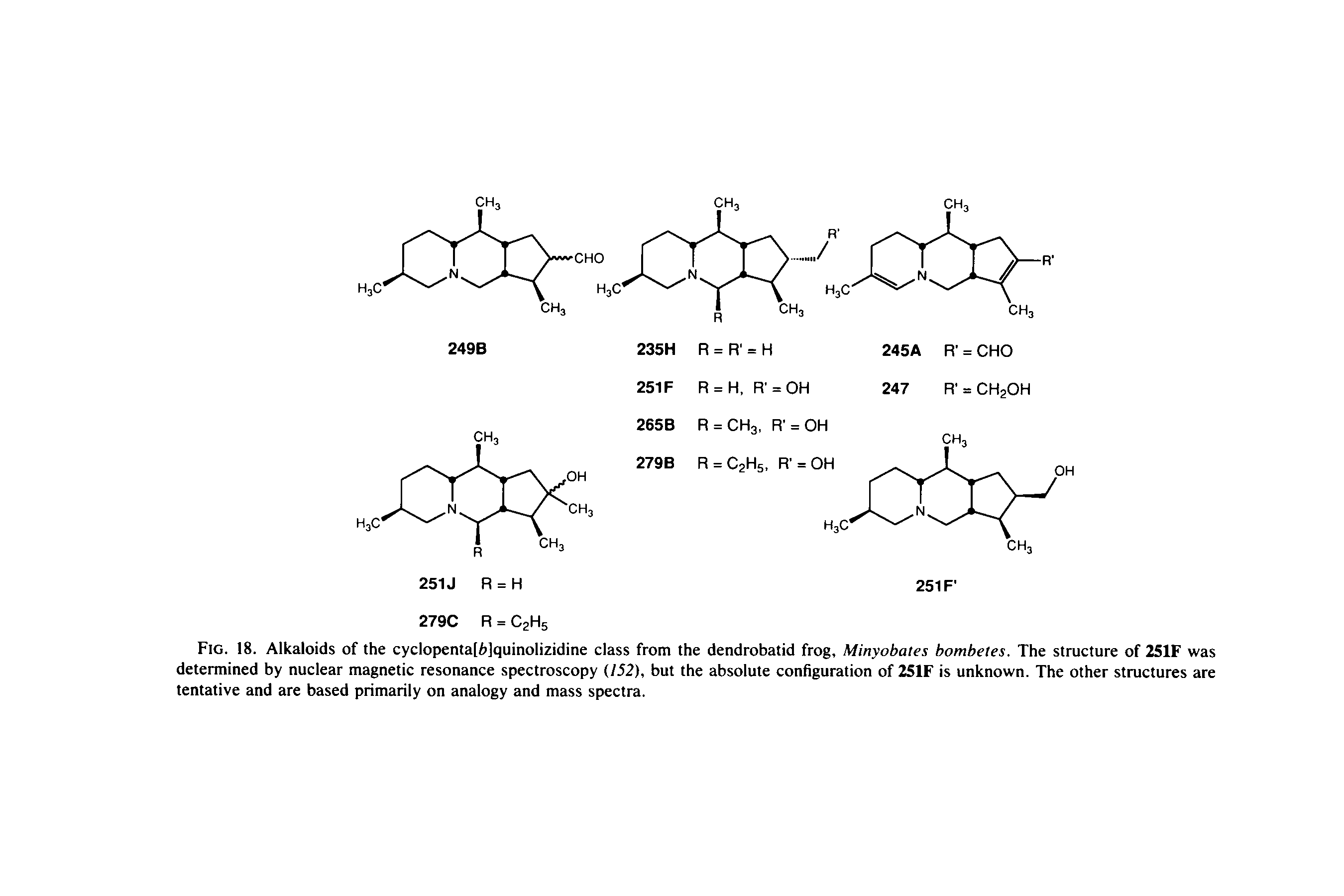 Fig. 18. Alkaloids of the cyclopentaf/ilquinolizidine class from the dendrobatid frog, Minyobates bombetes. The structure of 251F was determined by nuclear magnetic resonance spectroscopy (/52), but the absolute configuration of 2S1F is unknown. The other structures are tentative and are based primarily on analogy and mass spectra.