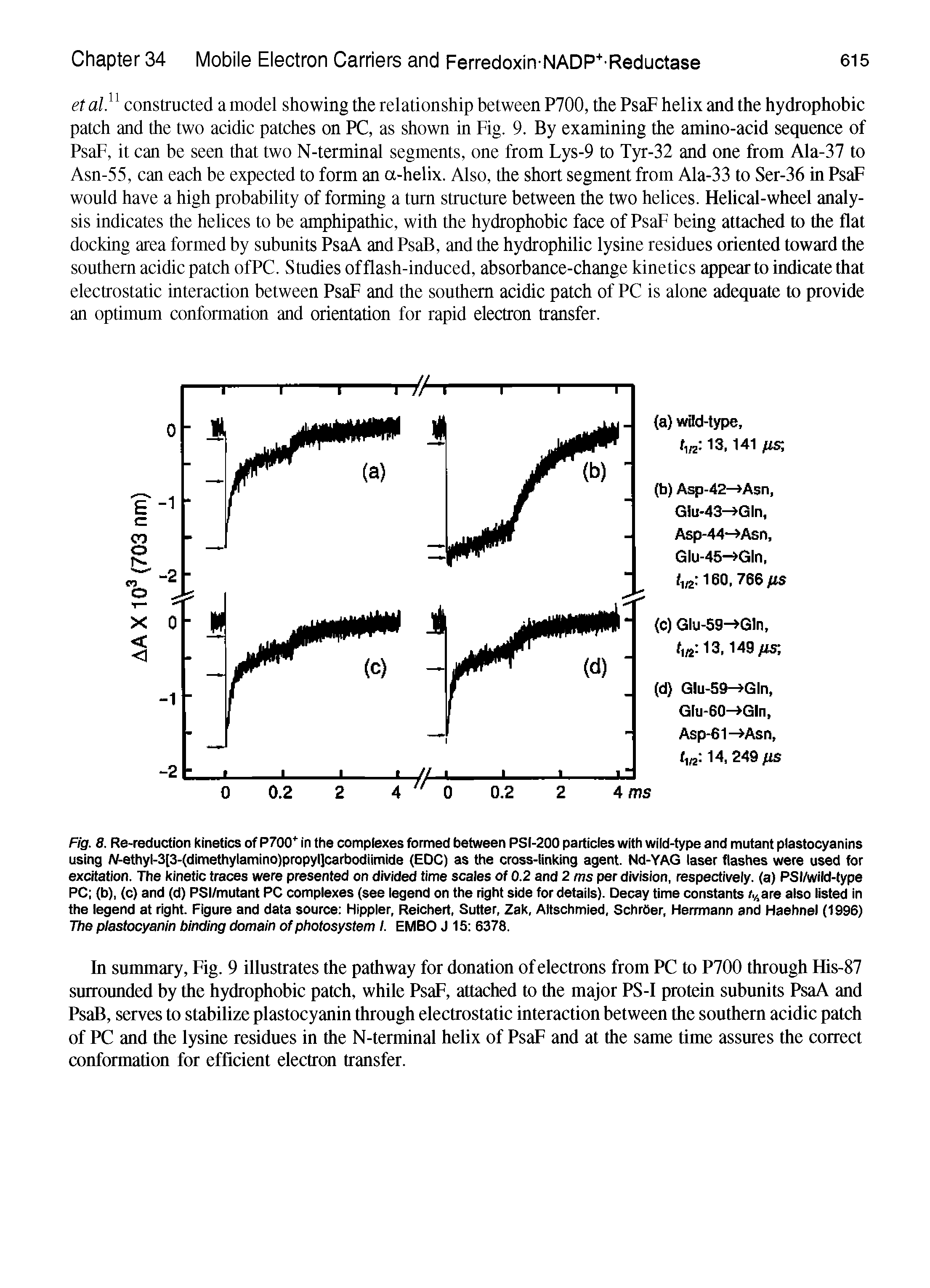 Fig. 8. Re-reduction Kinetics of P700 in the compiexes formed between PSi-200 particies with wild-type and mutant plastocyanins using /V-ethyl-3[3-(dimethylamino)propyl]carbodiimide (EDC) as the cross-linking agent. Nd-YAG laser flashes were used for excitation. The kinetic traces were presented on divided time scales of 0.2 and 2 ms per division, respectively, (a) PSI/wild-type PC (b), (c) and (d) PSI/mutant PC complexes (see legend on the right side for details). Decay time constants r.,sare also listed in the legend at right. Figure and data source Hippier, Reichert, Sutter, Zak, Altschmied, SchrOer, Herrmann and Haehnel (1996) The plastocyanin binding domain of photosystem I. EMBO J 15 6378.