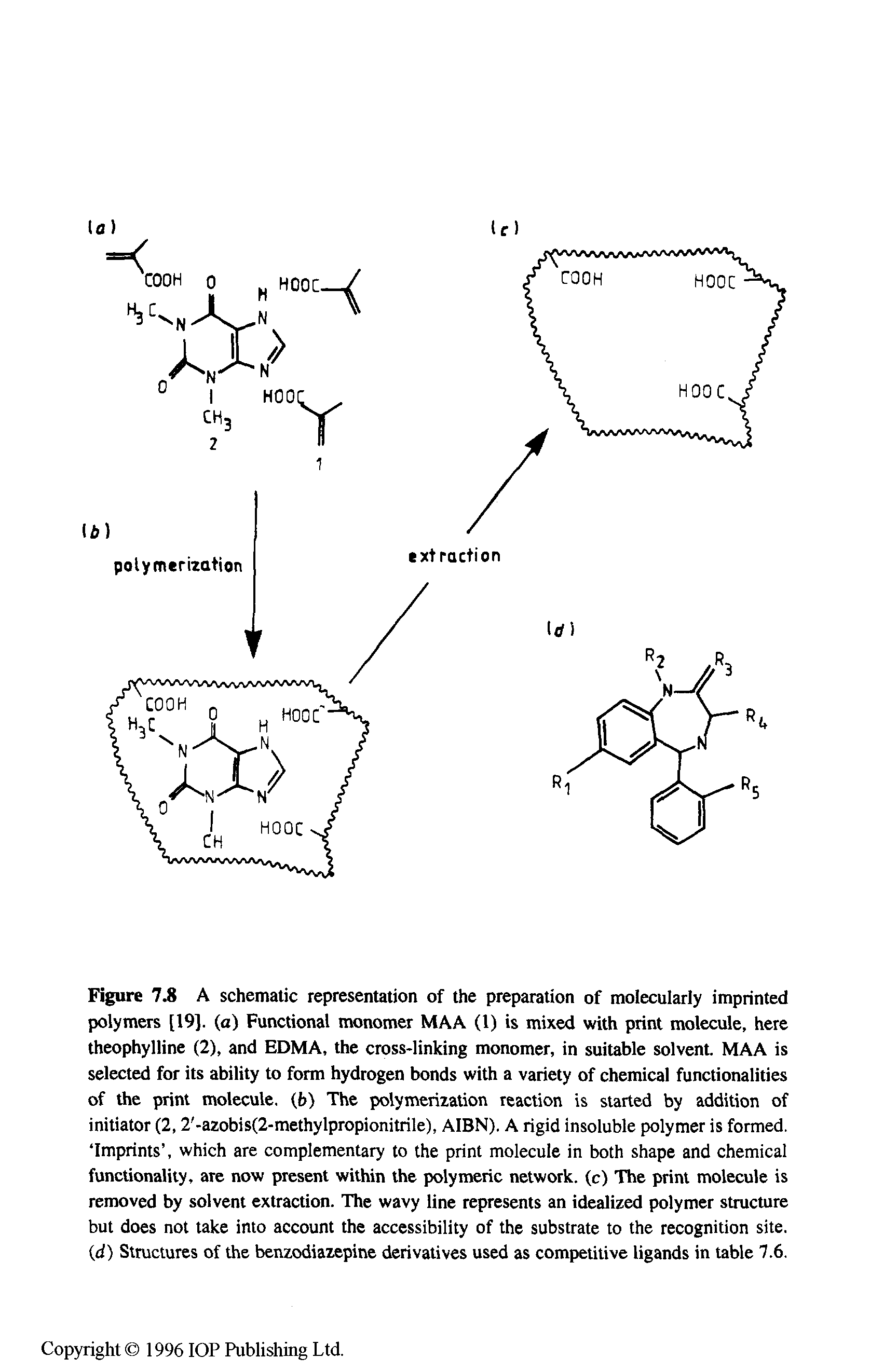 Figure 7.8 A schematic representation of the preparation of molecularly imprinted polymers [19]. (a) Functional monomer MAA (1) is mixed with print molecule, here theophylline (2), and EDMA, the cross-linking monomer, in suitable solvent. MAA is selected for its ability to form hydrogen bonds with a variety of chemical functionalities of the print molecule. (6) The polymerization reaction is started by addition of initiator (2,2 -azobis(2-methylpropionitrile), AIBN). A rigid insoluble polymer is formed, Imprints , which are complementary to the print molecule in both shape and chemical functionality, are now present within the polymeric network, (c) The print molecule is removed by solvent extraction. The wavy line represents an idealized polymer structure but does not take into account the accessibility of the substrate to the recognition site,...