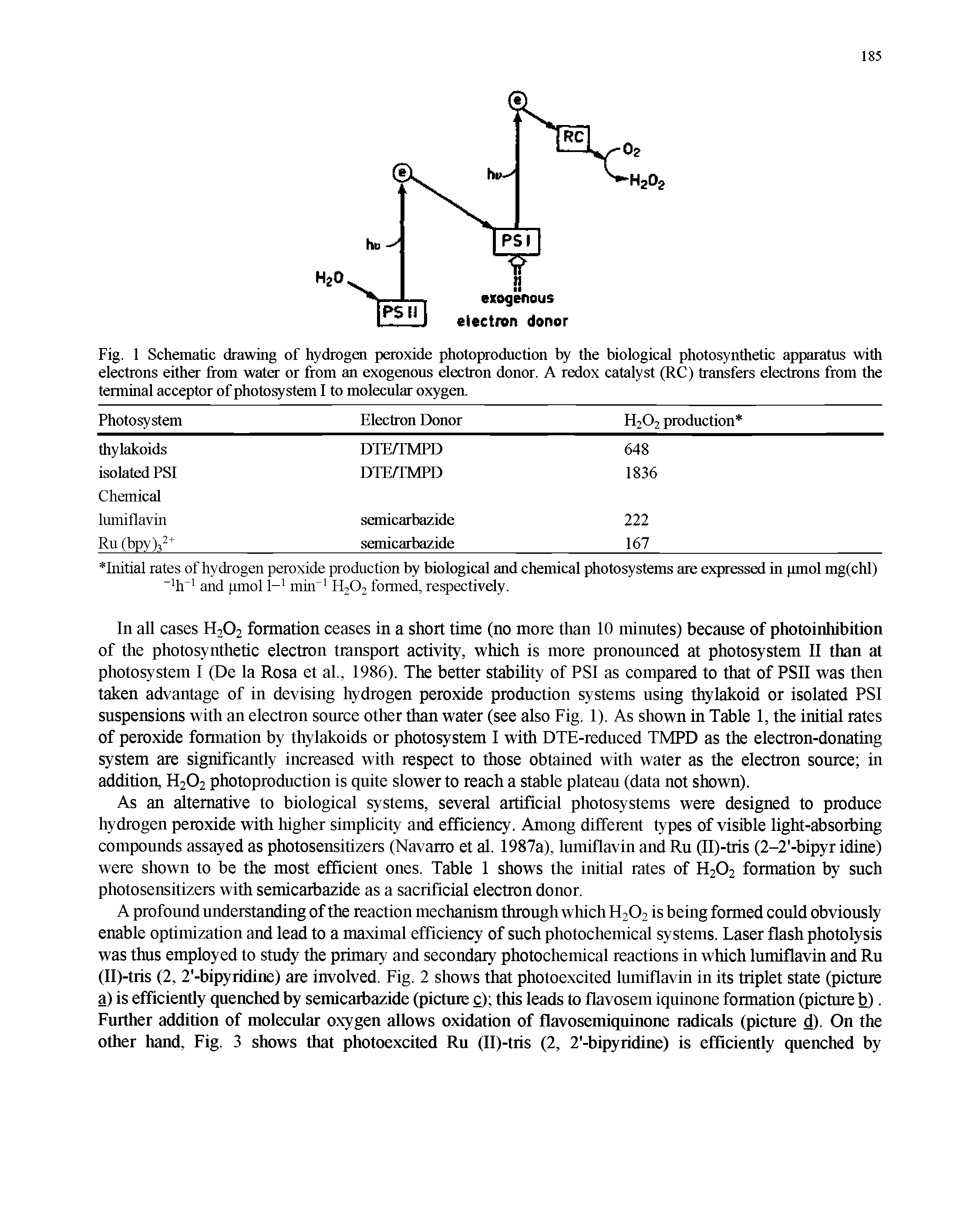 Fig. 1 Schematic drawing of hydrogen peroxide photoproduction by the biological photosynthetic apparatus with electrons either from water or from an exogenous electron donor. A redox catalyst (RC) transfers electrons from the terminal acceptor of photosystem I to molecular oxygen.