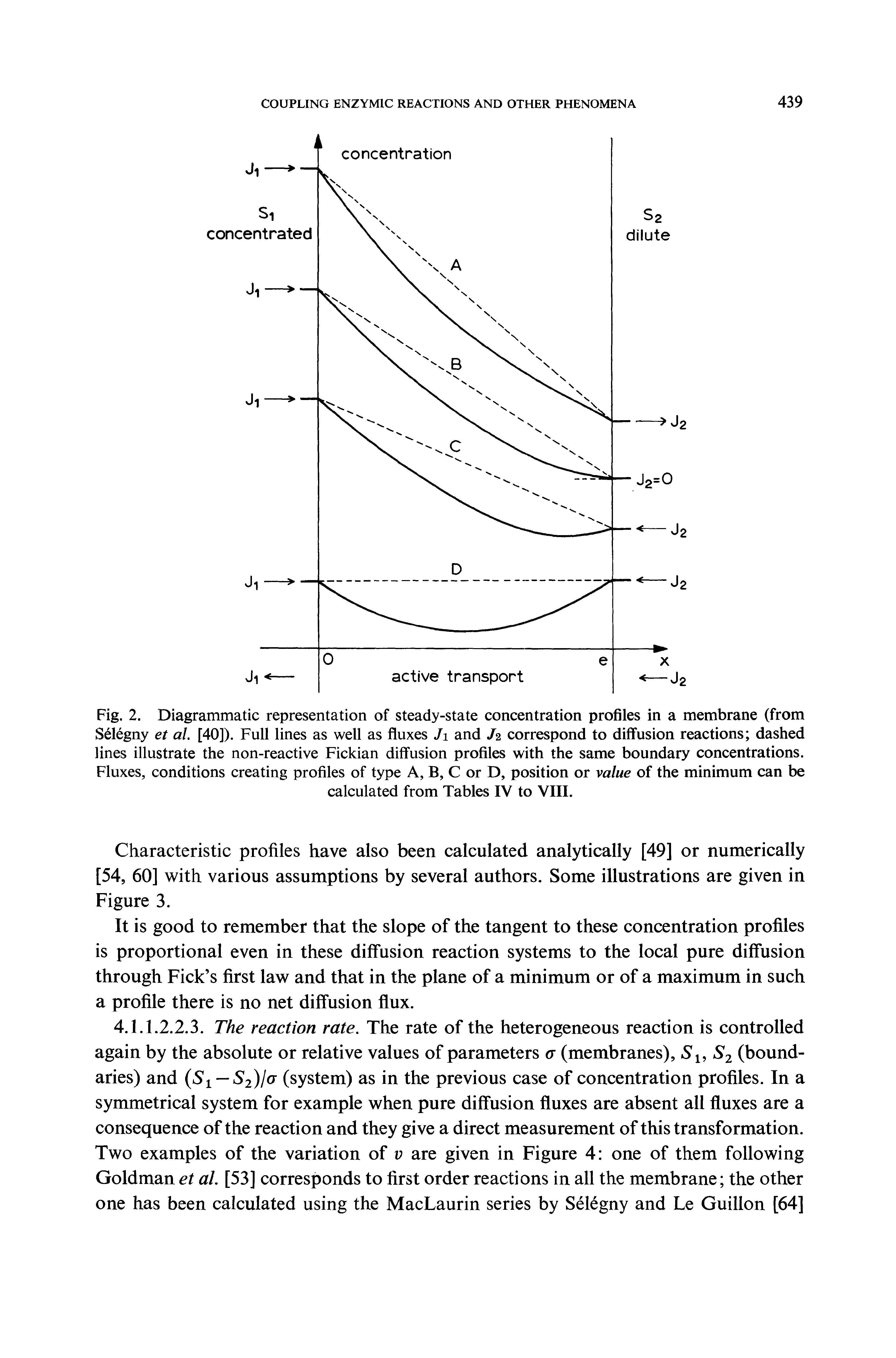 Fig. 2. Diagrammatic representation of steady-state concentration profiles in a membrane (from S61egny et al. [40]). Full lines as well as fluxes Ji and J2 correspond to diffusion reactions dashed lines illustrate the non-reactive Fickian diffusion profiles with the same boundary concentrations. Fluxes, conditions creating profiles of type A, B, C or D, position or value of the minimum can be...