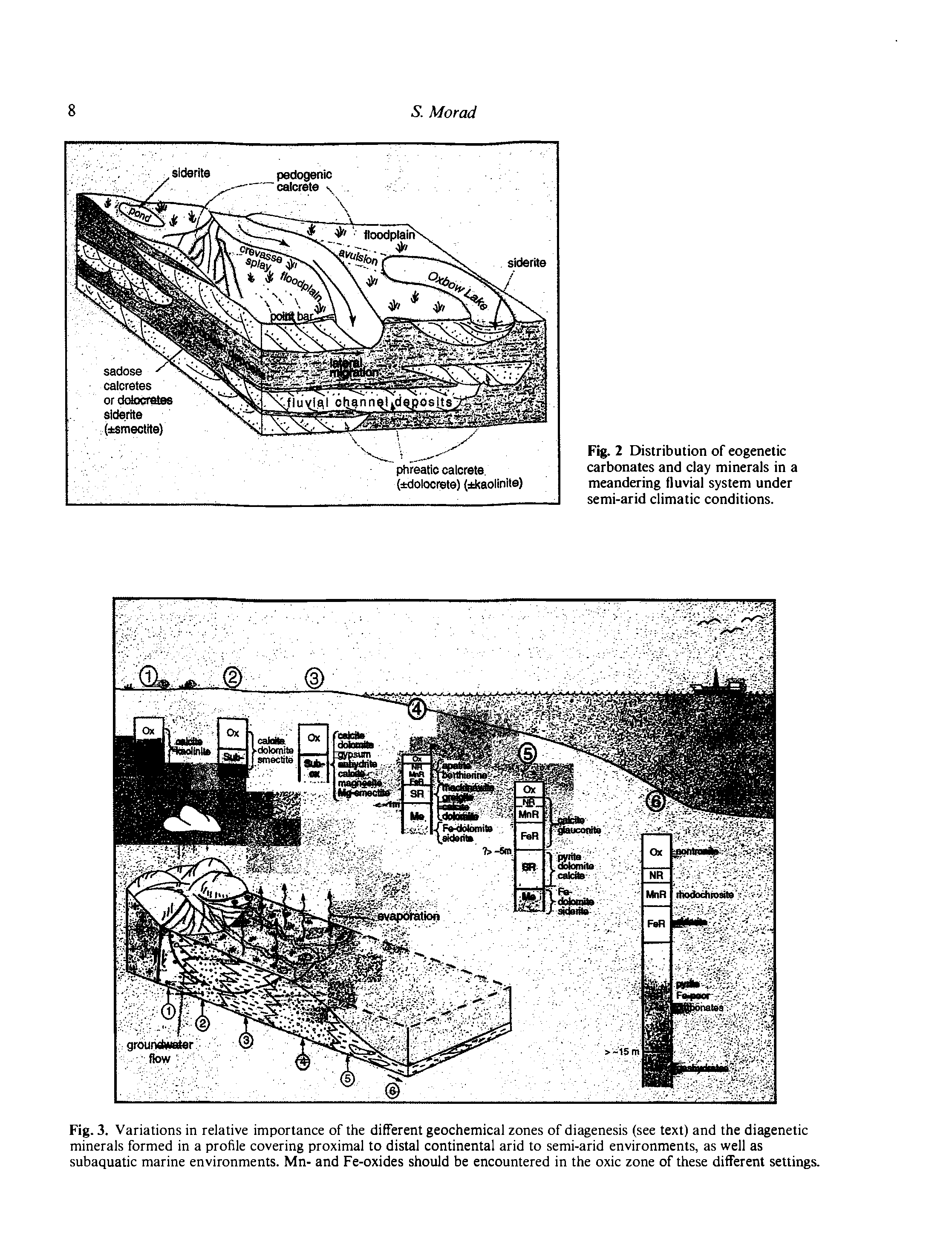 Fig. 3. Variations in relative importance of the different geochemical zones of diagenesis (see text) and the diagenetic minerals formed in a profile covering proximal to distal continental arid to semi-arid environments, as well as subaquatic marine environments. Mn- and Fe-oxides should be encountered in the oxic zone of these different settings.