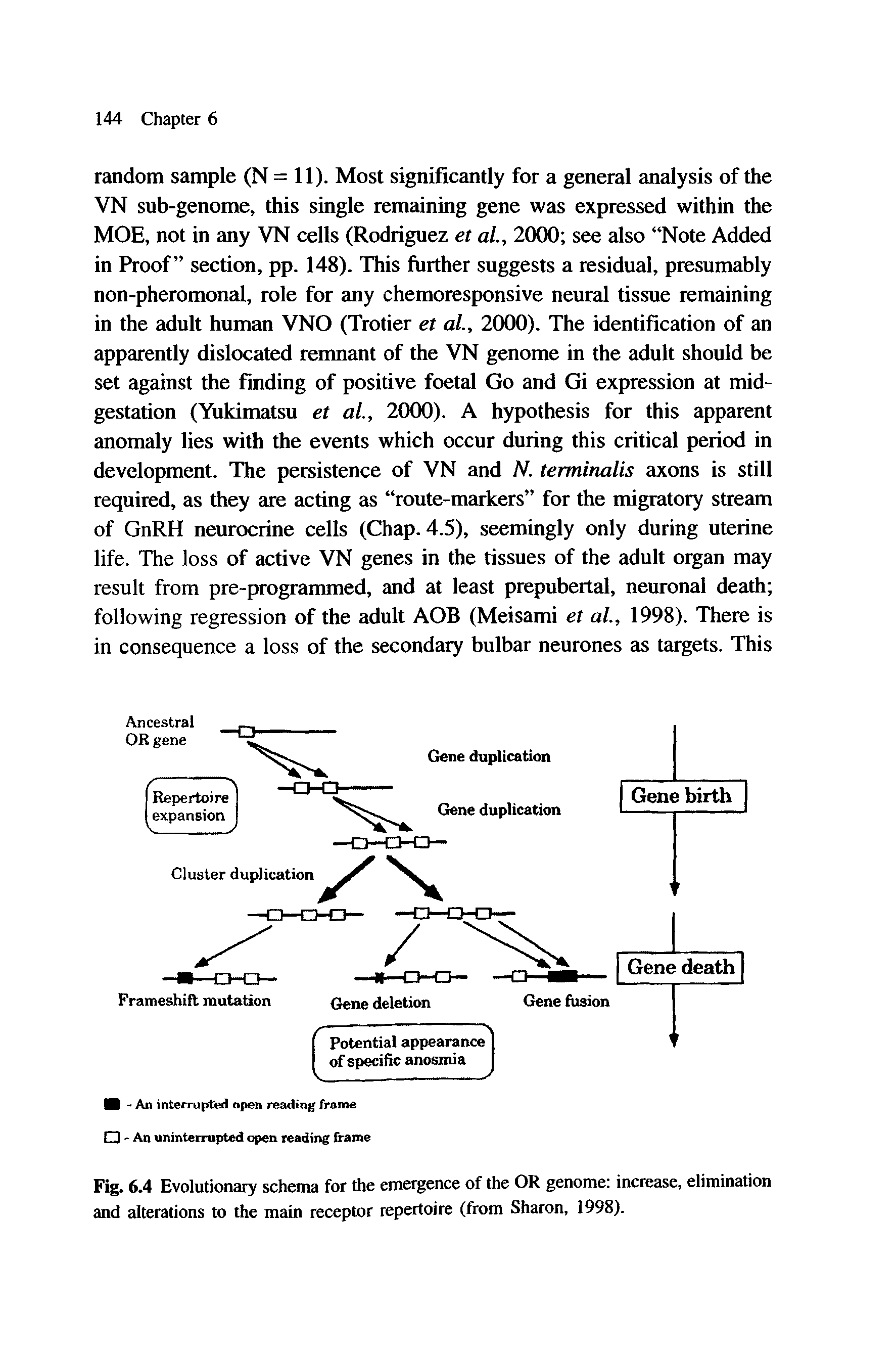 Fig. 6.4 Evolutionary schema for the emergence of the OR genome increase, elimination and alterations to the main receptor repertoire (from Sharon, 1998).