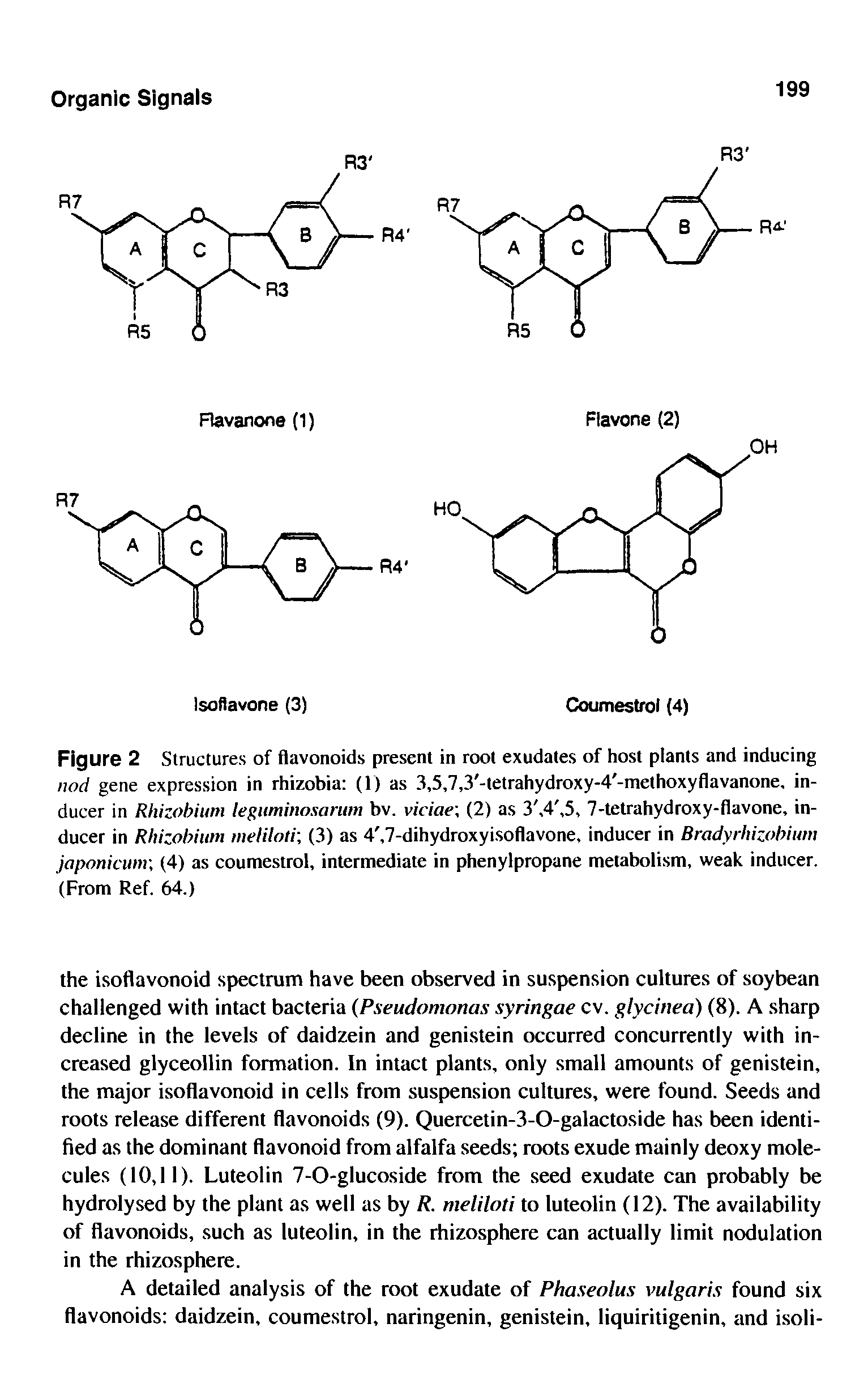 Figure 2 Structures of flavonoids present in root exudates of host plants and inducing nod gene expression in rhizobia (1) as 3,5,7,3 -tetrahydroxy-4 -methoxyflavanone, inducer in Rhizohium legiiminosarum bv. viciae (2) as 3, 4, 5, 7-tetrahydroxy-flavone, inducer in Rhizohium melilotr, (3) as 4, 7-dihydroxyisoflavone, inducer in Bradyrhizohium japonicum (4) as couinestrol, intermediate in phenylpropane metabolism, weak inducer. (From Ref. 64.)...