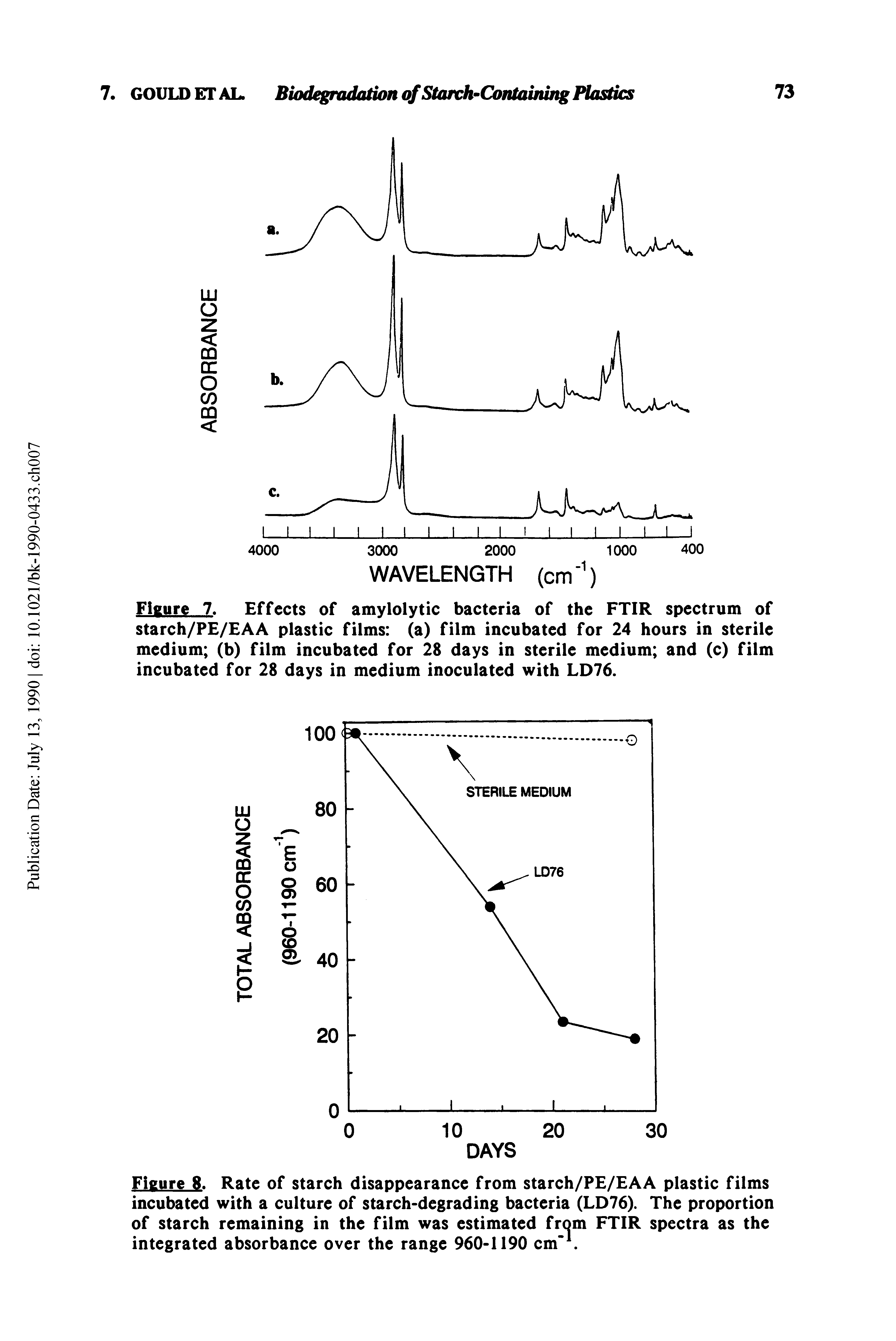 Figure 7. Effects of amylolytic bacteria of the FTIR spectrum of starch/P / AA plastic films (a) film incubated for 24 hours in sterile medium (b) film incubated for 28 days in sterile medium and (c) film incubated for 28 days in medium inoculated with LD76.