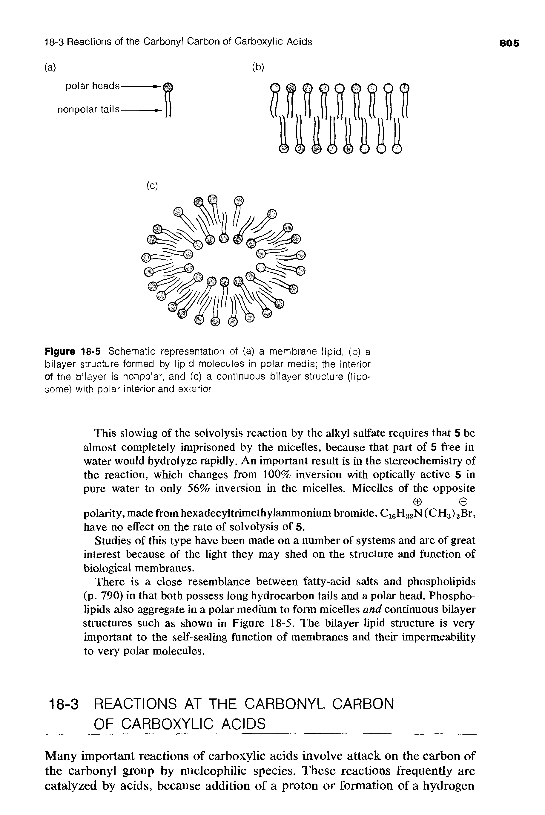 Figure 18-5 Schematic representation of (a) a membrane lipid, (b) a bilayer structure formed by lipid molecules in polar media the interior of the bilayer is nonpolar, and (c) a continuous bilayer structure (liposome) with polar interior and exterior...