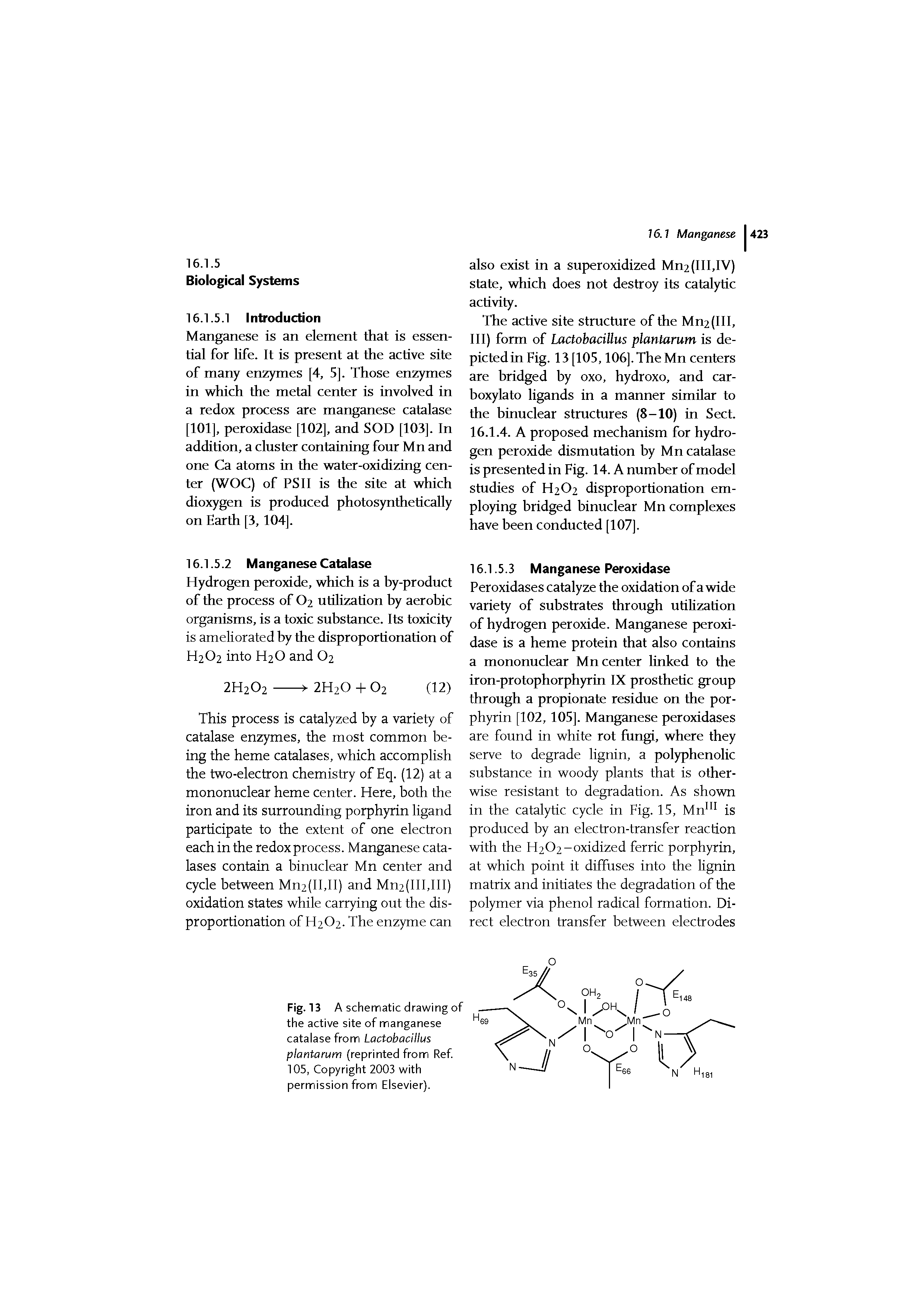 Fig. 13 A schematic drawing of the active site of manganese catalase from Lactobacillus plantarum (reprinted from Ref 105, Copyright 2003 with permission from Elsevier).