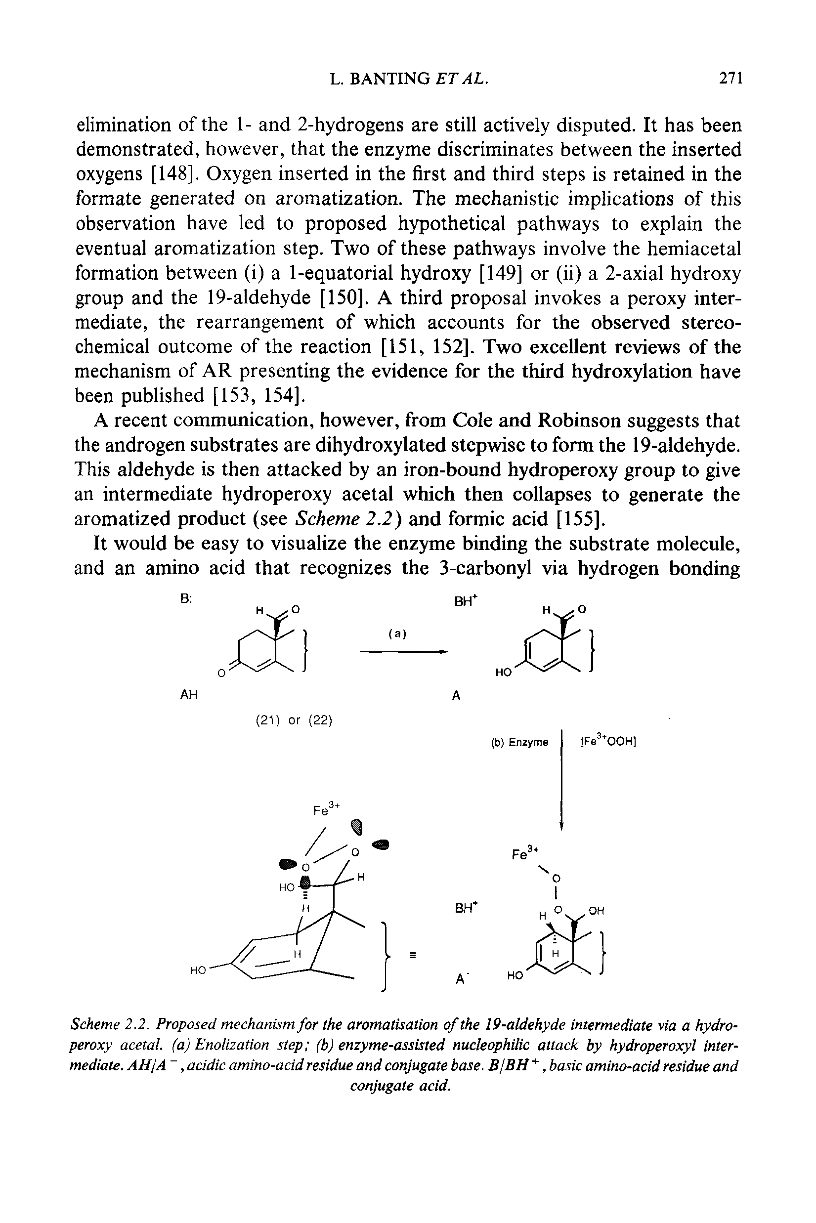 Scheme 2.2. Proposed mechanism for the aromatisation of the 19-aldehyde intermediate via a hydroperoxy acetal, (a) Enolization step (b) enzyme-assisted nucleophilic attack by hydroperoxyl intermediate. AH A, acidic amino-acid residue and conjugate base. BjBH, basic amino-acid residue and...