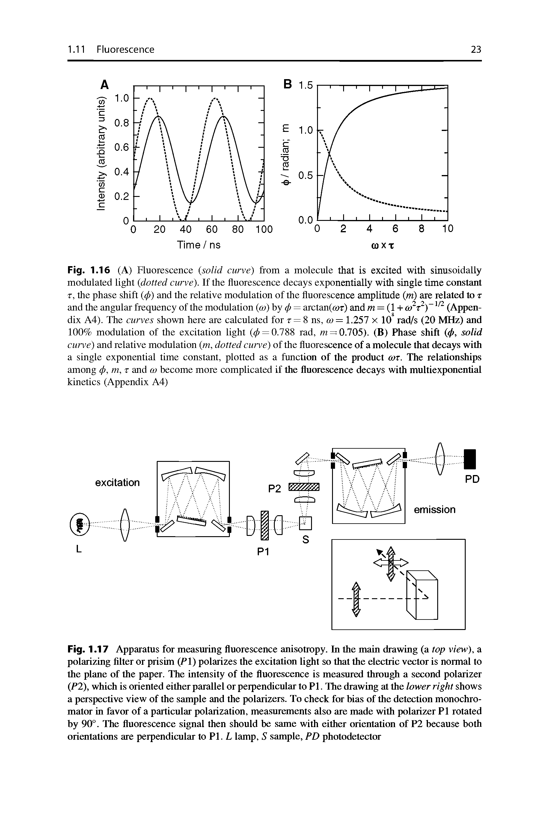 Fig. 1.16 (A) Fluorescence (so/id curve) from a molecule that is excited with sinusoidally modulated light (dotted curve). If the fluorescence decays exponentially with single time constant T, the phase shift (4>) and the relative modulation of the fluorescence amplitude (w) are related to t and the angular frequency of the modulation m) by < = arctan((OT) and w = (1 + o> ) (Appendix A4). The curves shown here are calculated for t = 8 ns, cd = 1.257 x 10 rad/s (20 MHz) and 100% modulation of the excitation light (< = 0.788 rad, i = 0.705). (B) Phase shift (4>, solid curve) and relative modulation (m, dotted curve) of the fluorescence of a molecule that decays with a single exponential time constant, plotted as a functirai of the product on. The relationships among <f>, m, r and m become more complicated if the fluOTescence decays with multiexponential kinetics (Appendix A4)...