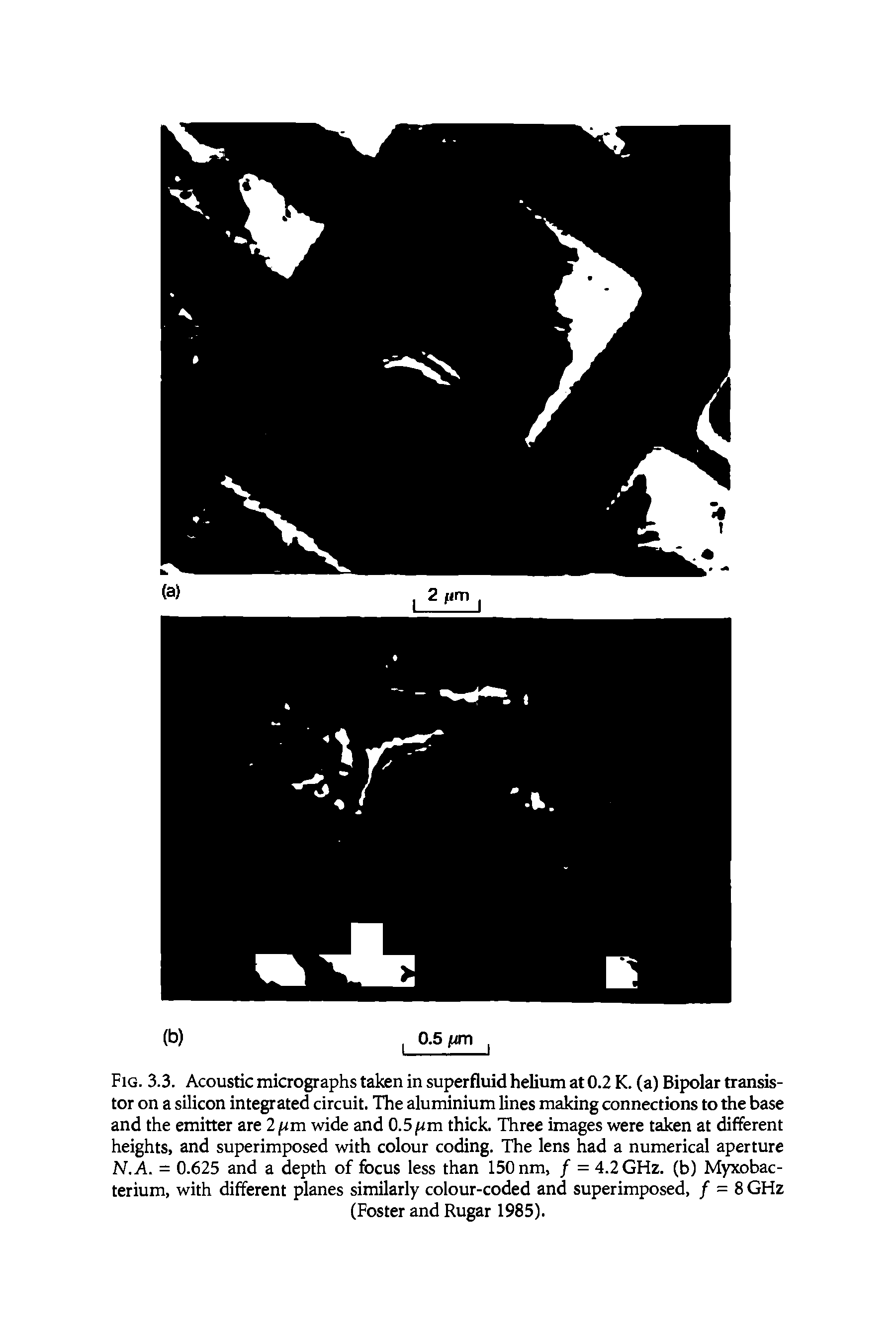 Fig. 3.3. Acoustic micrographs taken in superfluid helium at 0.2 K. (a) Bipolar transistor on a silicon integrated circuit. The aluminium lines making connections to the base and the emitter are 2 fan wide and 0.5 fan thick. Three images were taken at different heights, and superimposed with colour coding. The lens had a numerical aperture N.A. = 0.625 and a depth of focus less than 150 nm, / = 4.2 GHz. (b) Myxobac-terium, with different planes similarly colour-coded and superimposed, / = 8 GHz...