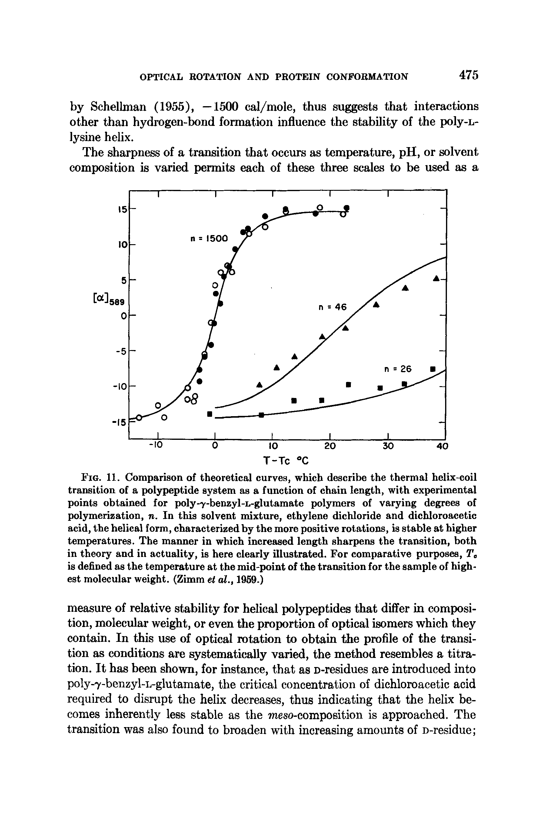 Fig. 11. Comparison of theoretical curves, which describe the thermal helix-coil transition of a polypeptide system as a function of chain length, with experimental points obtained for poly-->-benzyl-i,-glutamate polymers of varying degrees of polymerization, n. In this solvent mixture, ethylene dichloride and dichloroacetic acid, the helical form, characterized by the more positive rotations, is stable at higher temperatures. The manner in which increased length sharpens the transition, both in theory and in actuality, is here clearly illustrated. For comparative purposes, Tc is defined as the temperature at the mid-point of the transition for the sample of highest molecular weight. (Zimm et al., 1959.)...