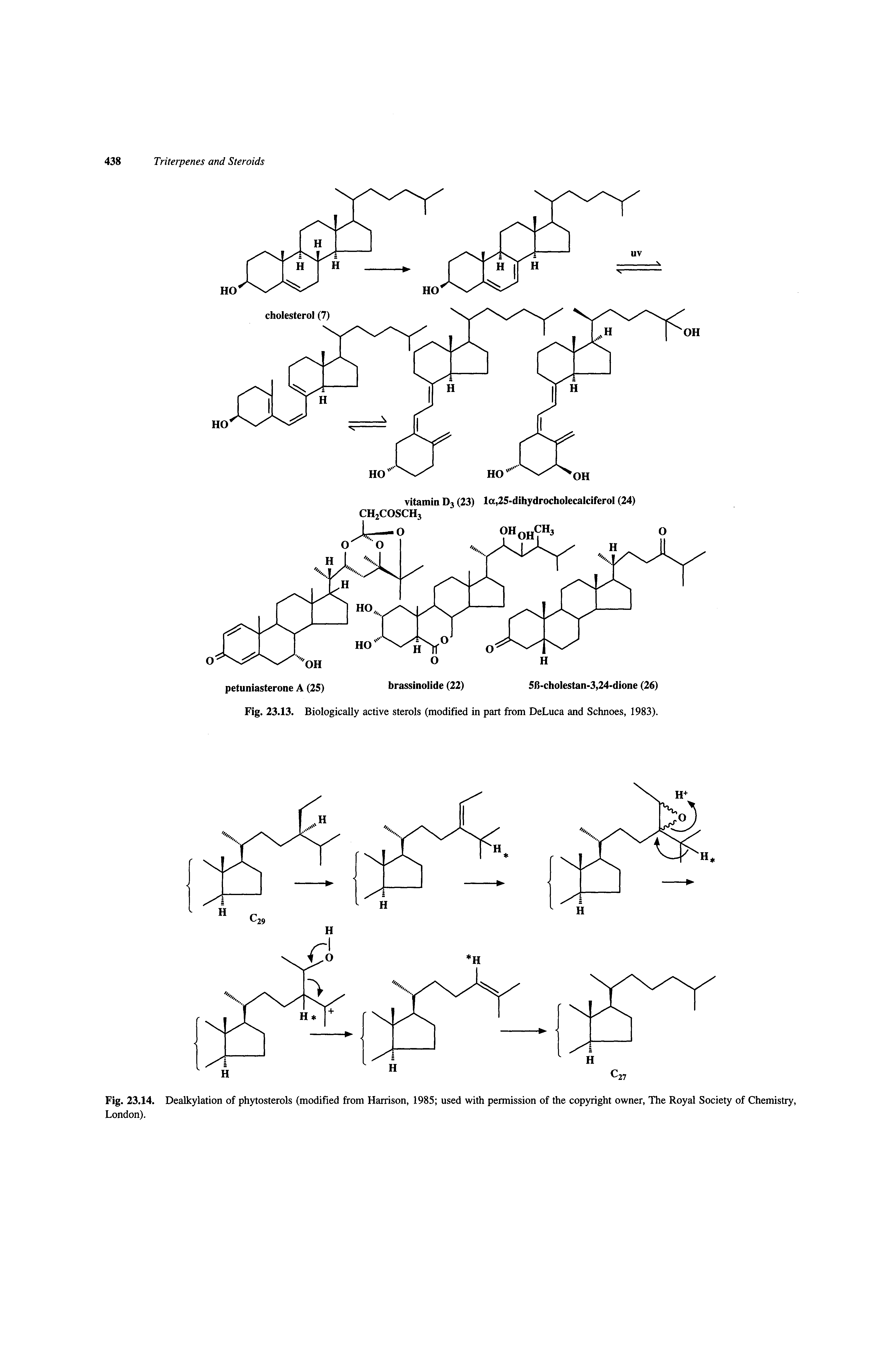 Fig. 23.14. Dealkylation of phytosterols (modified from Harrison, 1985 used with permission of the copyright owner, The Royal Society of Chemistry, London).