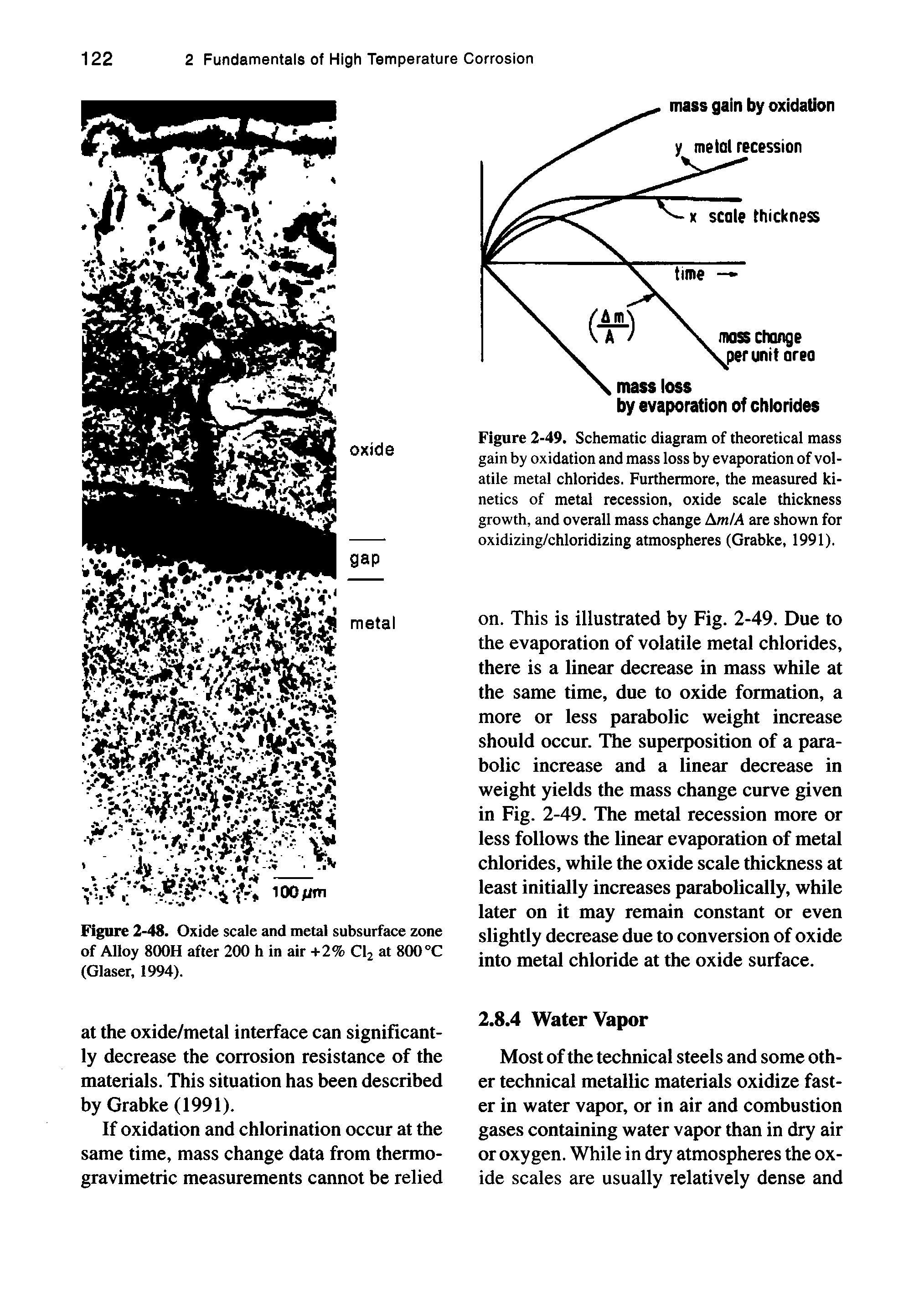 Figure 2-49. Schematic diagram of theoretical mass gain by oxidation and mass loss by evaporation of volatile metal chlorides. Furthermore, the measured kinetics of metal recession, oxide scale thickness growth, and overall mass change AmM are shown for oxidizing/chloridizing atmospheres (Grabke, 1991).