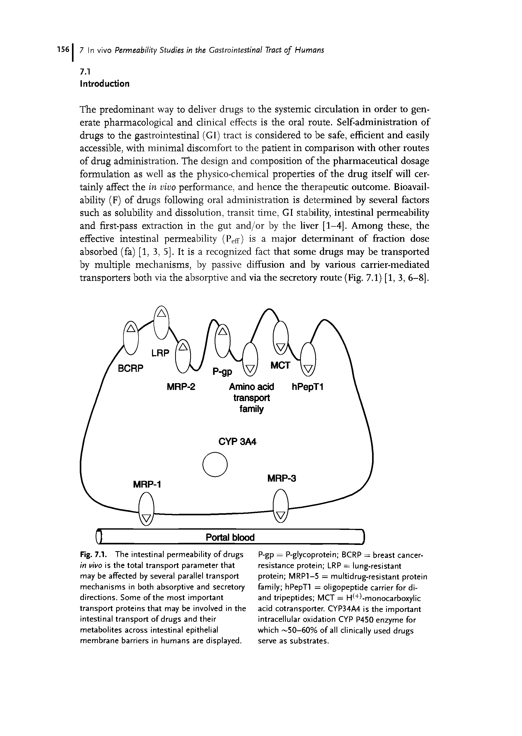 Fig. 7.1. The intestinal permeability of drugs in vivo is the total transport parameter that may be affected by several parallel transport mechanisms in both absorptive and secretory directions. Some of the most important transport proteins that may be involved in the intestinal transport of drugs and their metabolites across intestinal epithelial membrane barriers in humans are displayed.