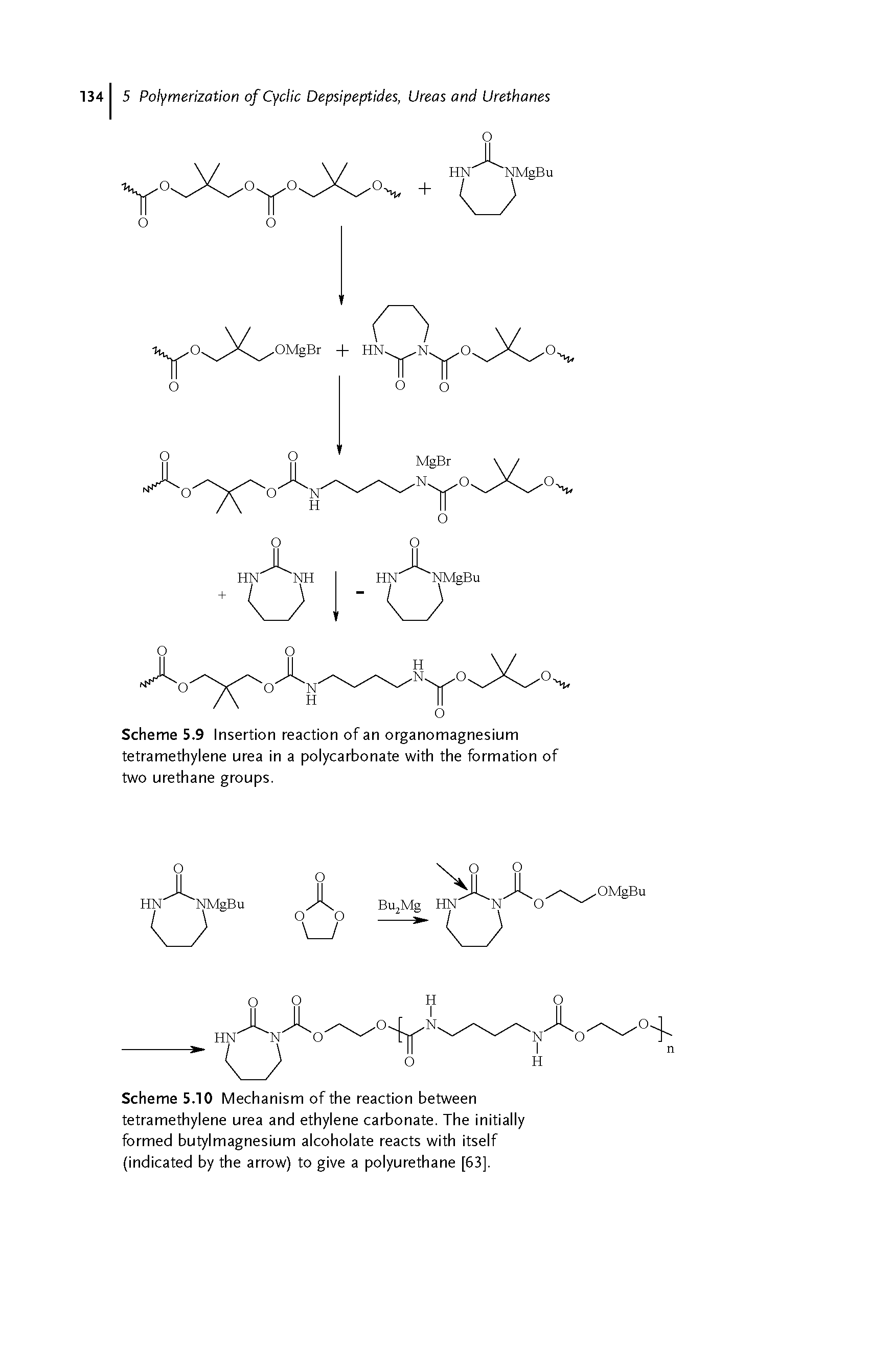 Scheme 5.9 Insertion reaction of an organomagnesium tetramethylene urea in a polycarbonate with the formation of two urethane groups.