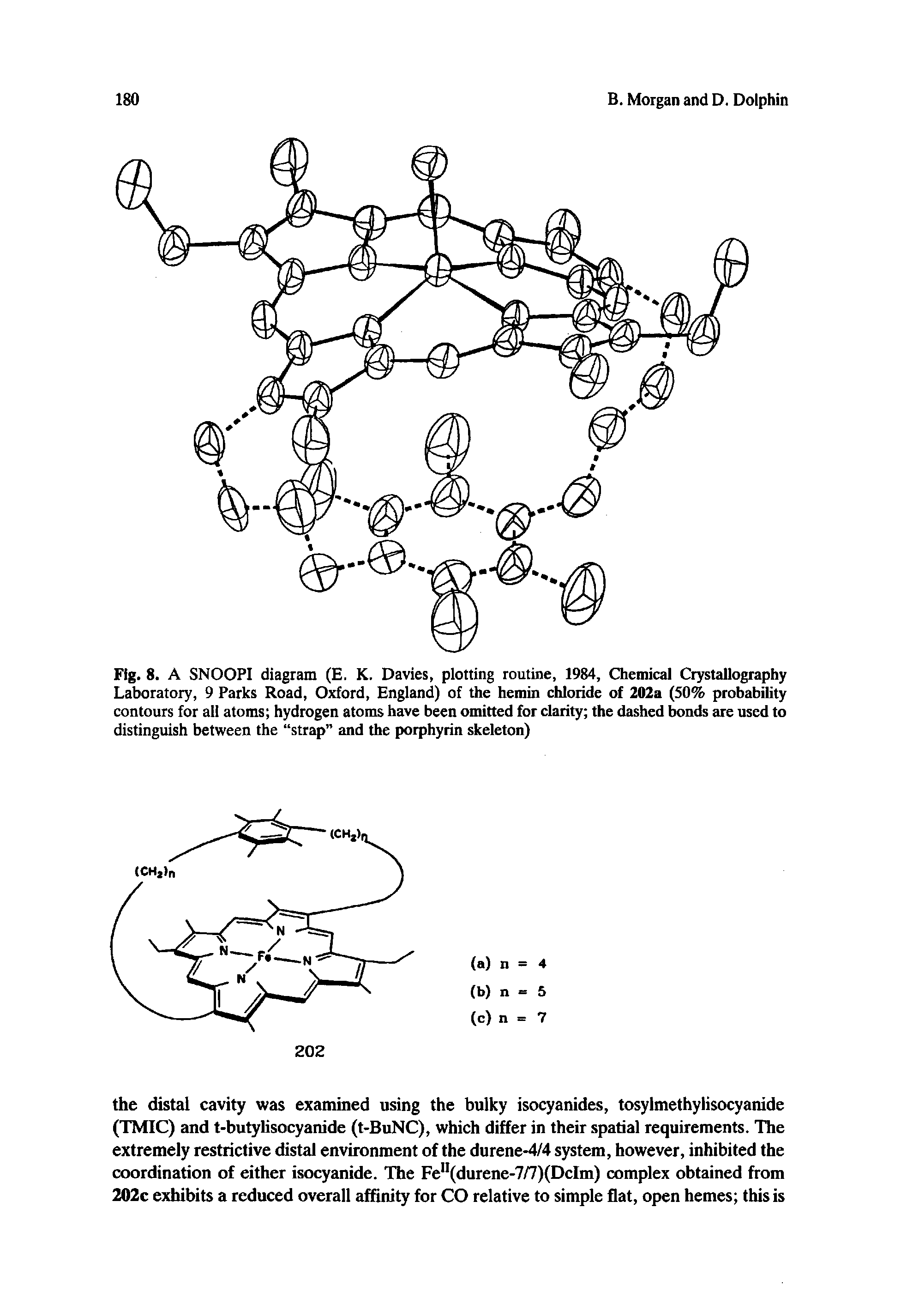Fig. 8. A SNOOPI diagram (E. K. Davies, plotting routine, 1984, Chemical Crystallography Laboratory, 9 Parks Road, Oxford, England) of the hemin chloride of 202a (50% probability contours for all atoms hydrogen atoms have been omitted for clarity the dashed bonds are used to distinguish between the strap and the porphyrin skeleton)...