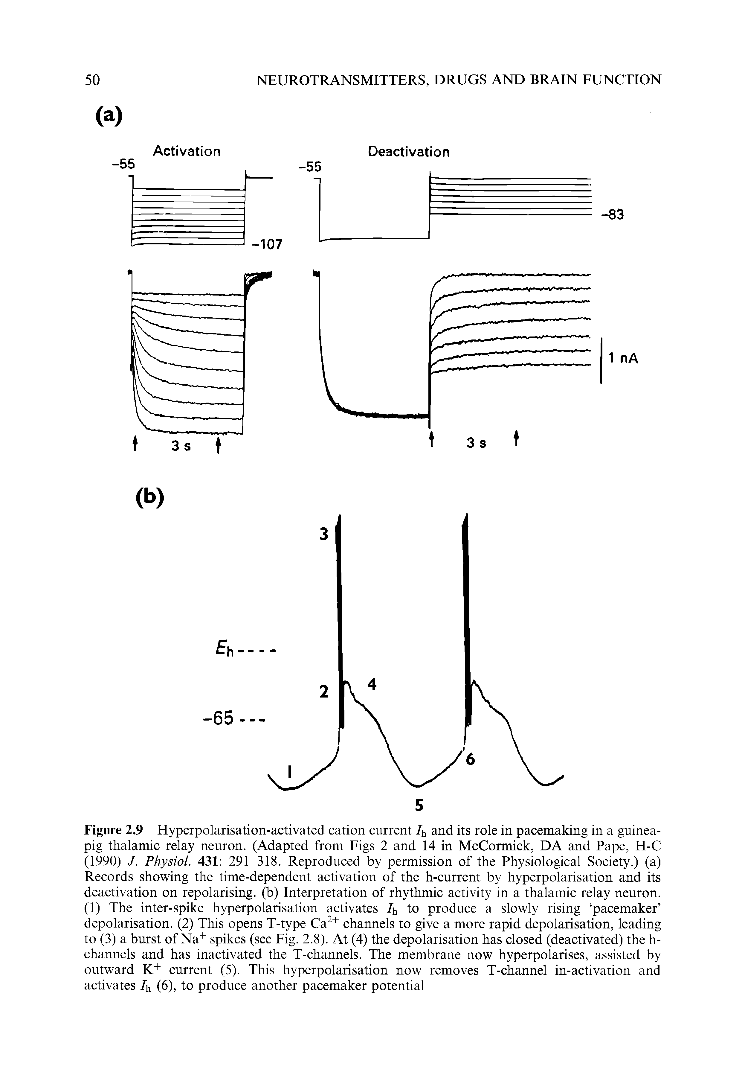 Figure 2.9 Hyperpolarisation-activated cation current 4 and its role in pacemaking in a guinea-pig thalamic relay neuron. (Adapted from Figs 2 and 14 in McCormick, DA and Pape, H-C (1990) J. Physiol. 431 291-318. Reproduced by permission of the Physiological Society.) (a) Records showing the time-dependent activation of the h-current by hyperpolarisation and its deactivation on repolarising, (b) Interpretation of rhythmic activity in a thalamic relay neuron. (1) The inter-spike hyperpolarisation activates 7h to produce a slowly rising pacemaker depolarisation. (2) This opens T-type Ca " channels to give a more rapid depolarisation, leading to (3) a burst of Na" spikes (see Fig. 2.8). At (4) the depolarisation has closed (deactivated) the h-channels and has inactivated the T-channels. The membrane now hyperpolarises, assisted by outward K+ current (5). This hyperpolarisation now removes T-channel in-activation and activates 7h (6), to produce another pacemaker potential...