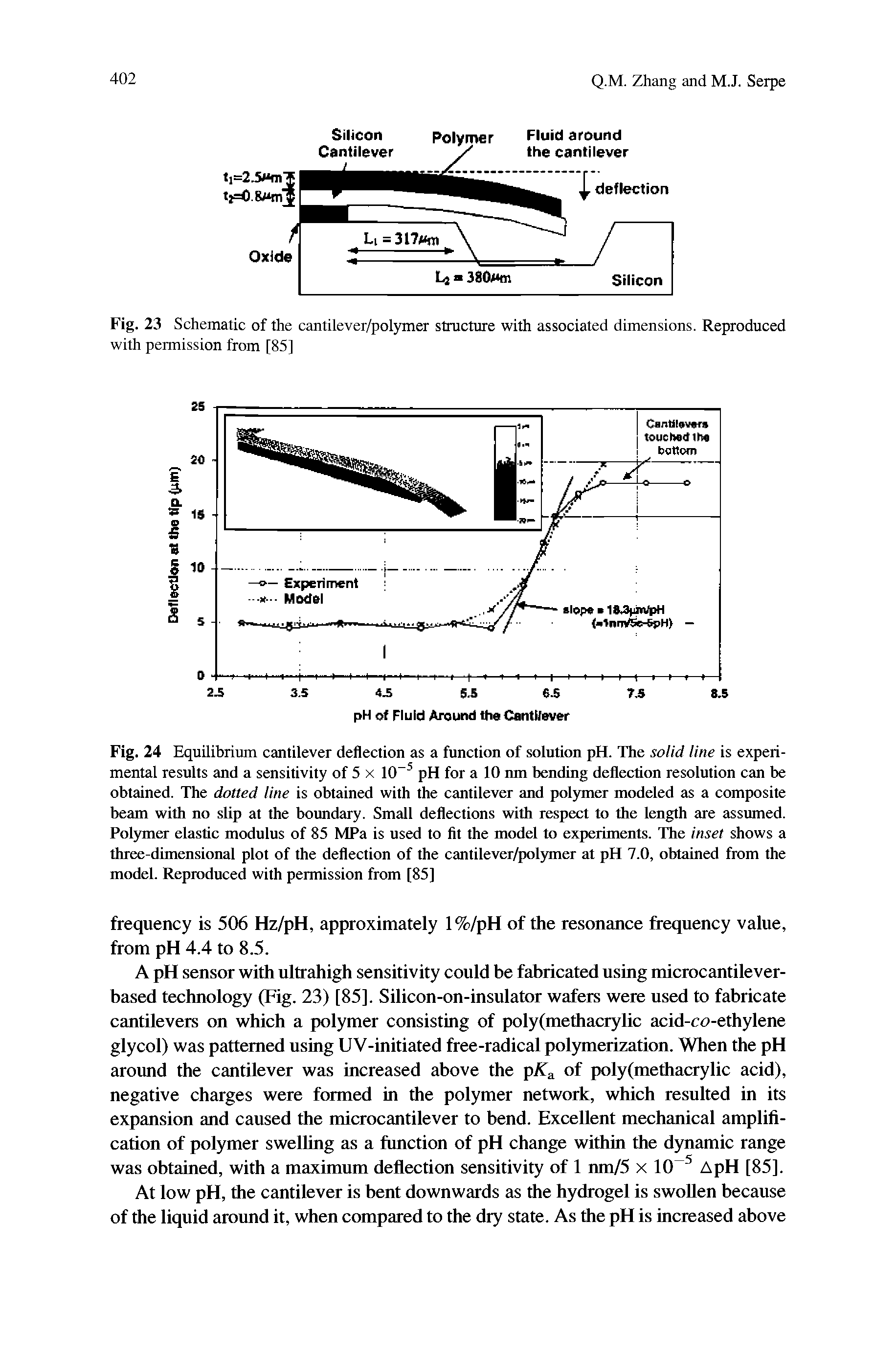Fig. 24 Equilibrium cantilever deflection as a function of solution pH. The solid line is experimental results and a sensitivity of 5 x 10 pH for a 10 nm bending deflection resolution can be obtained. The dotted line is obtained with the cantilever and polymer modeled as a composite beam with no slip at the boundary. Small deflections with respect to the length are assumed. Polymer elastic modulus of 85 MPa is used to fit the model to experiments. The inset shows a three-dimensional plot of the deflection of the cantilever/polymer at pH 7.0, obtained from the model. Reproduced with permission from [85]...