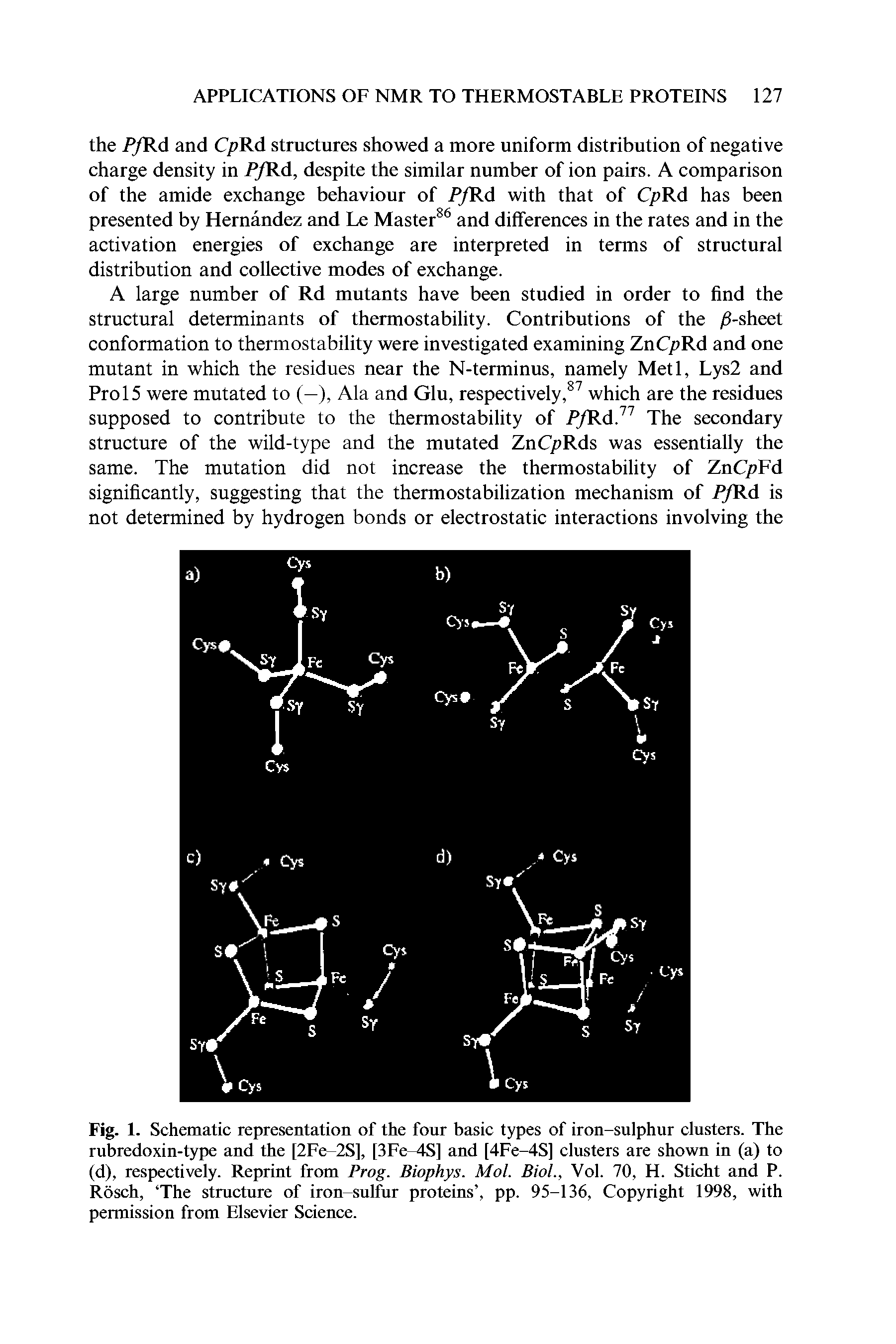 Fig. 1. Schematic representation of the four basic types of iron-sulphur clusters. The rubredoxin-type and the [2Fe-2S], [3Fe—4S] and [4Fe-4S] clusters are shown in (a) to (d), respectively. Reprint from Prog. Biophys. Mol. Biol., Vol. 70, H. Sticht and P. Rosch, The structure of iron-sulfur proteins , pp. 95-136, Copyright 1998, with permission from Elsevier Science.
