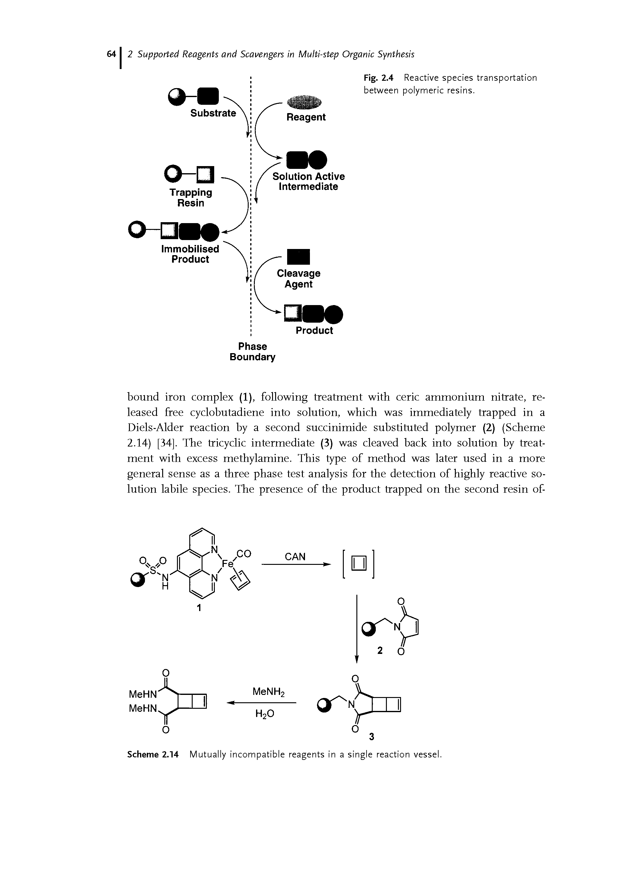Fig. 2.4 Reactive species transportation between polymeric resins.