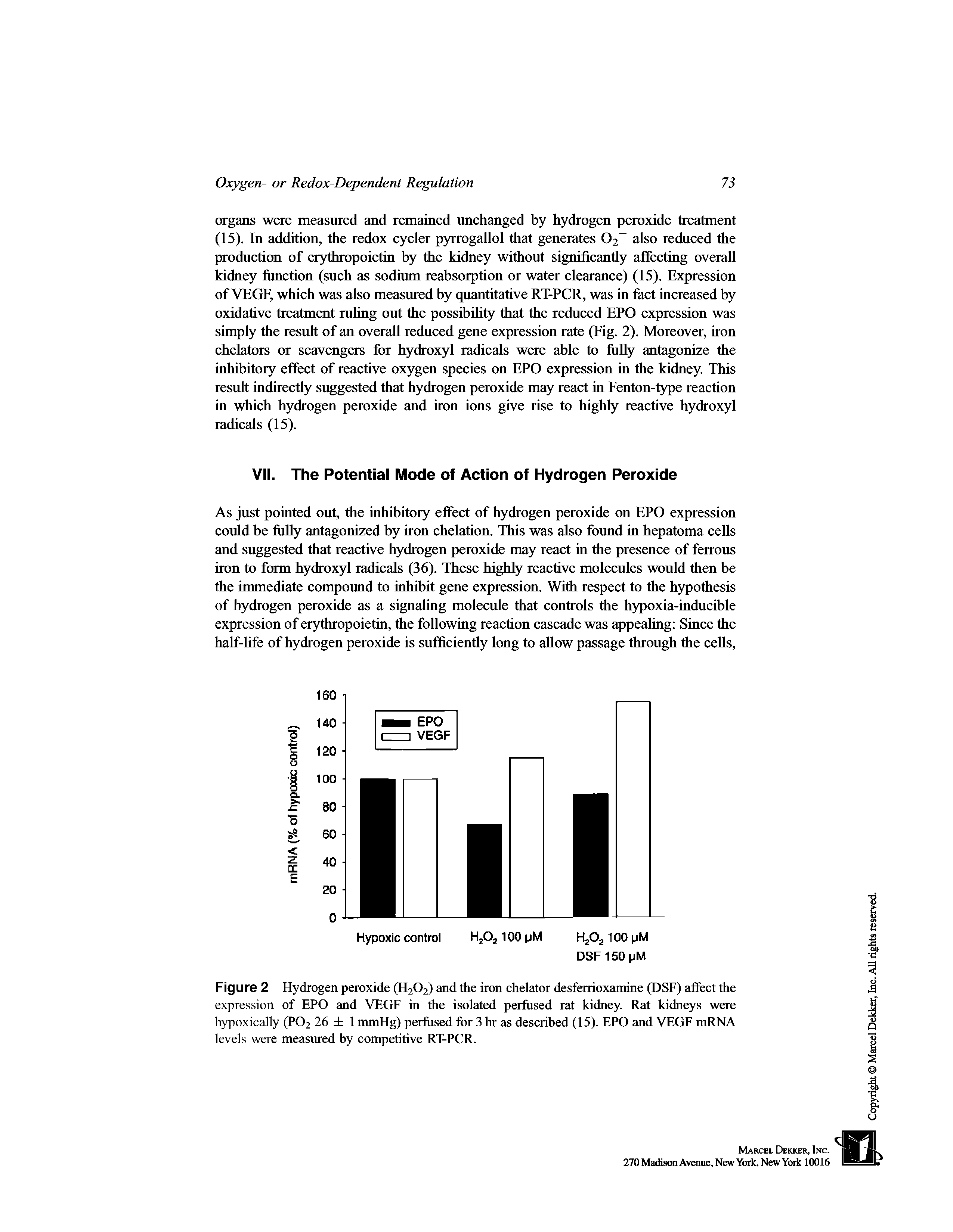Figure 2 Hydrogen peroxide (H2O2) and the iron chelator desferrioxamine (DSF) affect the expression of EPO and VEGF in the isolated perfused rat kidney. Rat kidneys were hypoxically (PO2 26 1 nunHg) perfused for 3 hr as described (15). EPO and VEGF mRNA levels were measured by competitive RT-PCR.