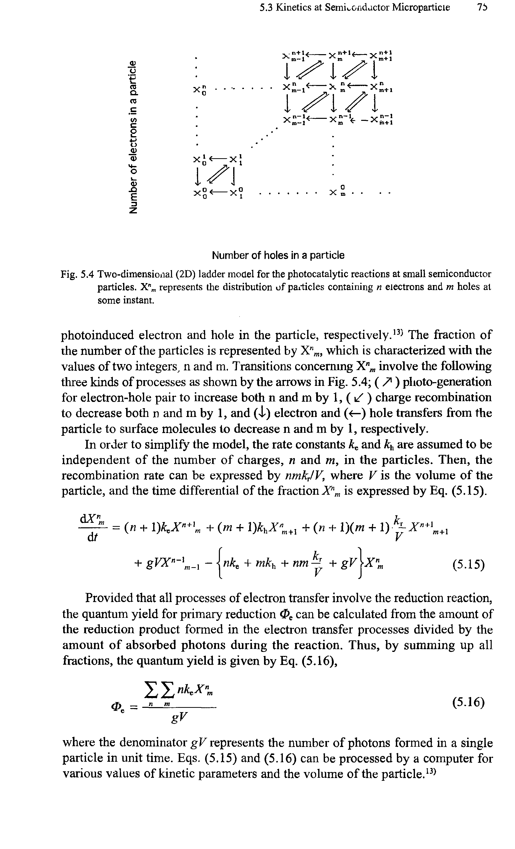 Fig. 5.4 Two-dimensional (2D) ladder model for the photocatalytic reactions at small semiconductor particles. X"m represents the distribution of particles containing n electrons and m holes at some instant.