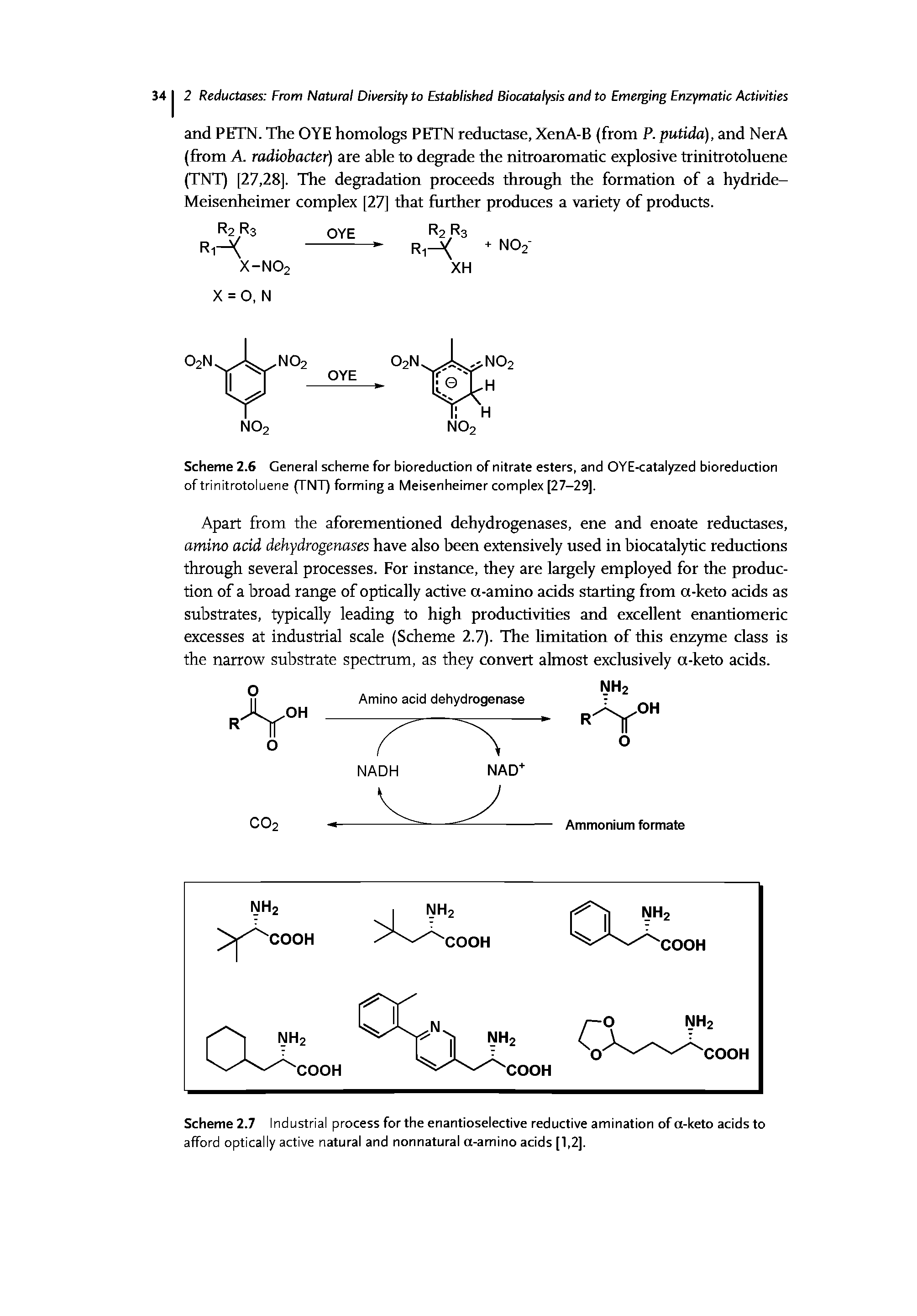 Scheme 2.7 Industrial process for the enantioselective reductive amination of a-keto acids to afford optically active natural and nonnatural a-amino acids [1,2].