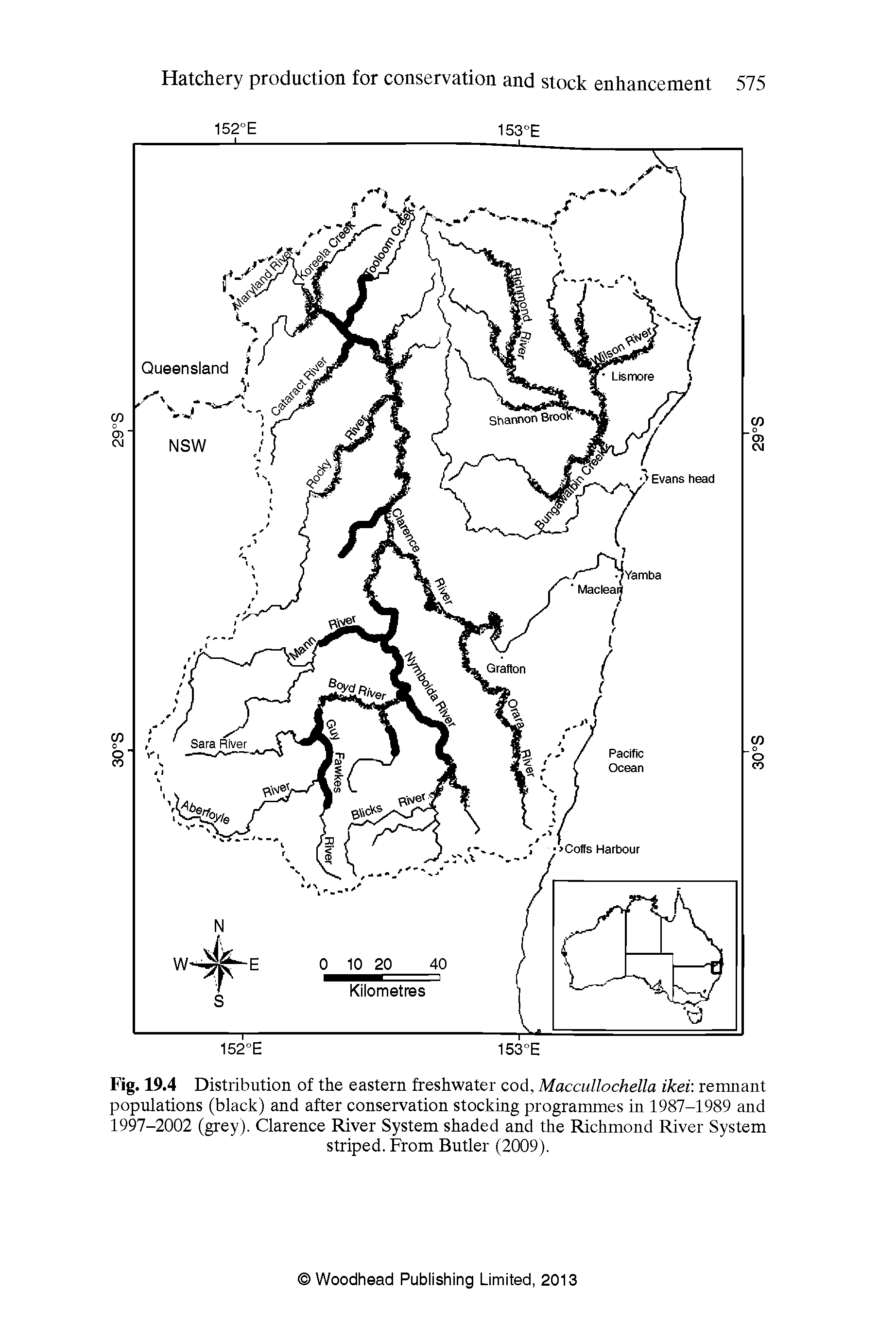 Fig. 19.4 Distribution of the eastern freshwater cod, Maccullochella ikei remnant populations (black) and after conservation stocking programmes in 1987-1989 and 1997-2002 (grey). Clarence River System shaded and the Richmond River System striped. From Butler (2009).