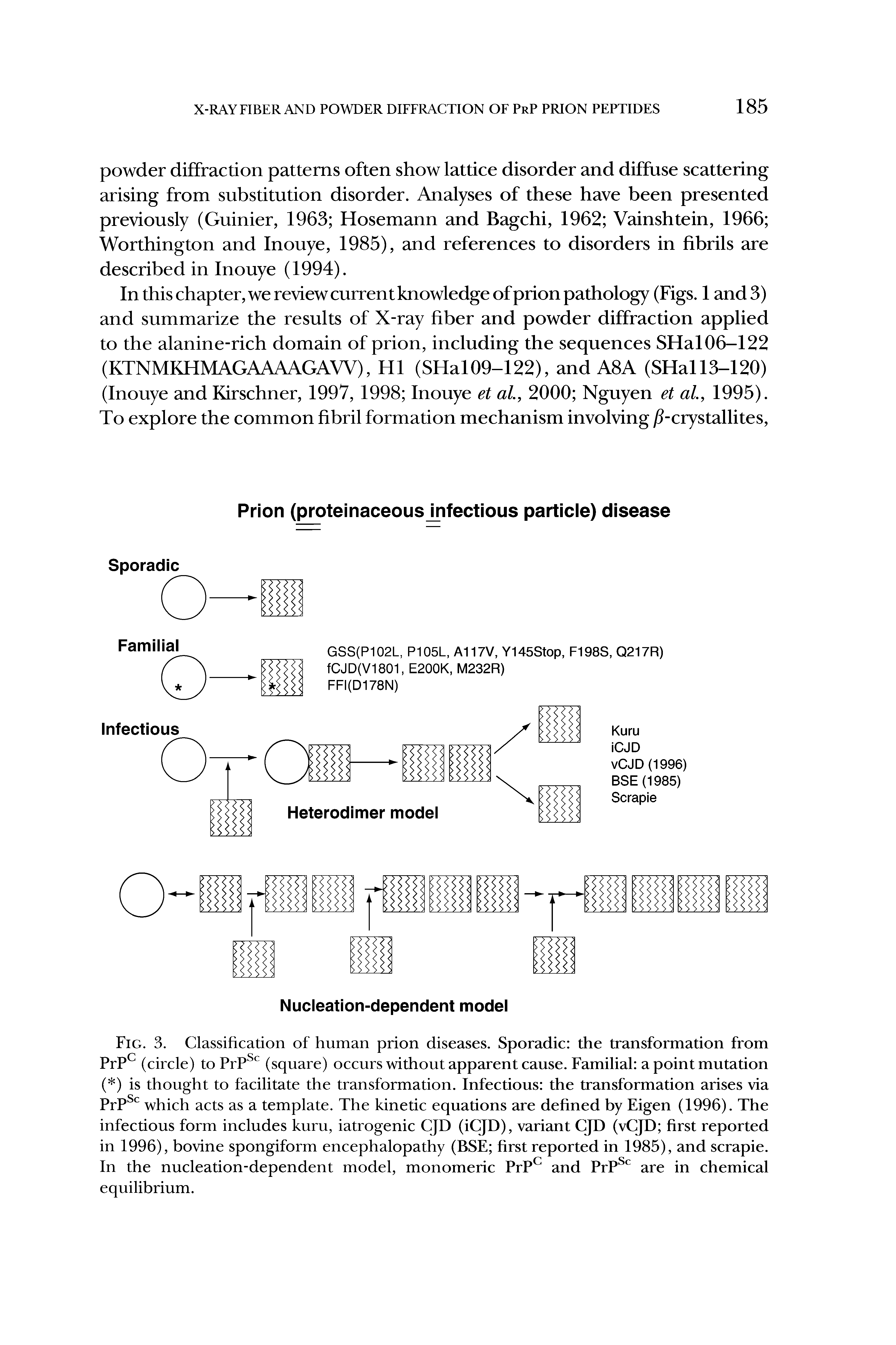 Fig. 3. Classification of human prion diseases. Sporadic the transformation from PrPc (circle) to PrPSc (square) occurs without apparent cause. Familial a point mutation ( ) is thought to facilitate the transformation. Infectious the transformation arises via PrPSc which acts as a template. The kinetic equations are defined by Eigen (1996). The infectious form includes kuru, iatrogenic CJD (iCJD), variant CJD (vCJD first reported in 1996), bovine spongiform encephalopathy (BSE first reported in 1985), and scrapie. In the nucleation-dependent model, monomeric PrPc and PrPSc are in chemical equilibrium.