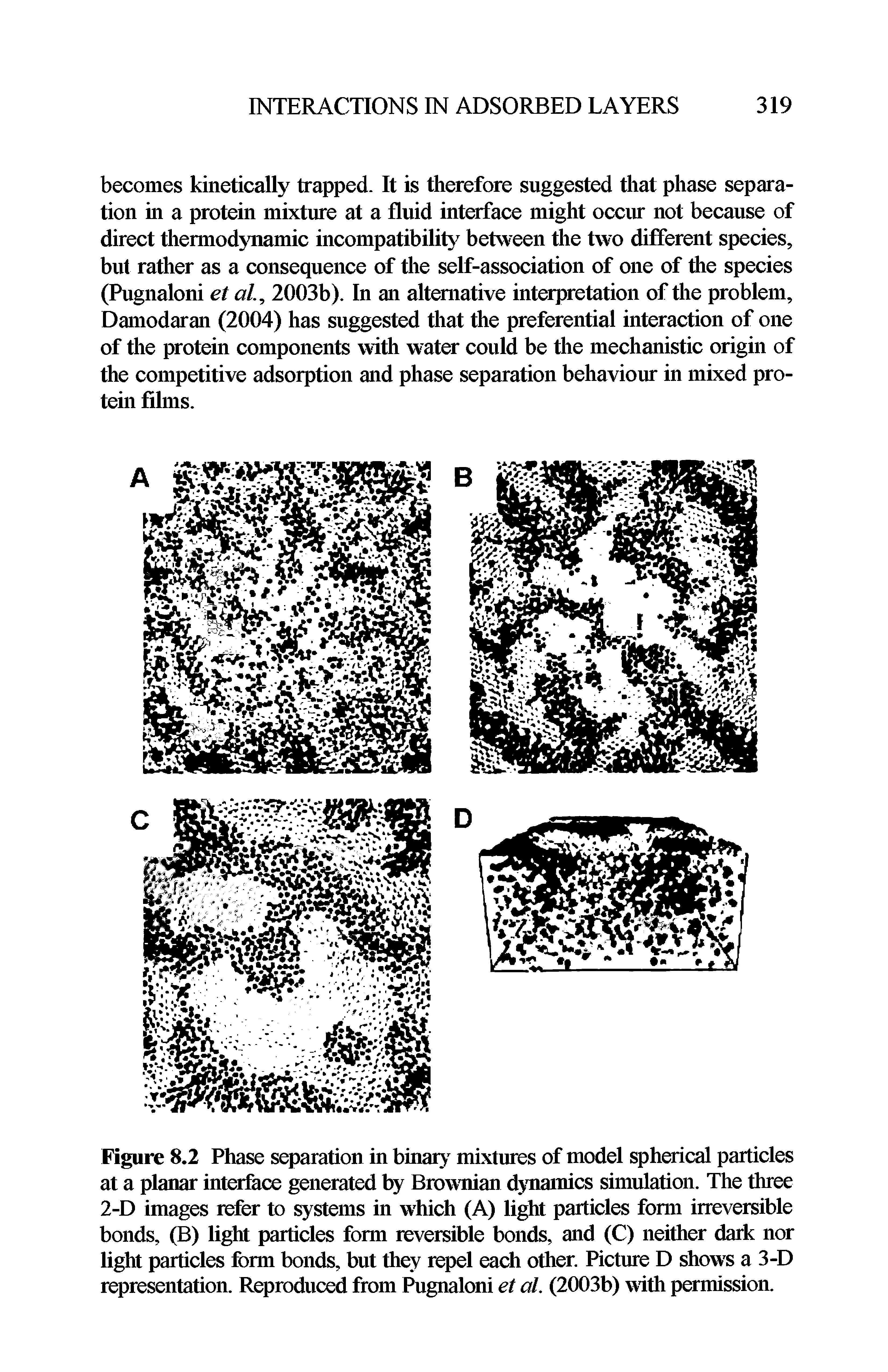 Figure 8.2 Phase separation in binary mixtures of model spherical particles at a planar interface generated by Brownian dynamics simulation. The three 2-D images refer to systems in which (A) light particles form irreversible bonds, (B) light particles form reversible bonds, and (C) neither dark nor light particles form bonds, but they repel each other. Picture D shows a 3-D representation. Reproduced from Pugnaloni et al. (2003b) with permission.
