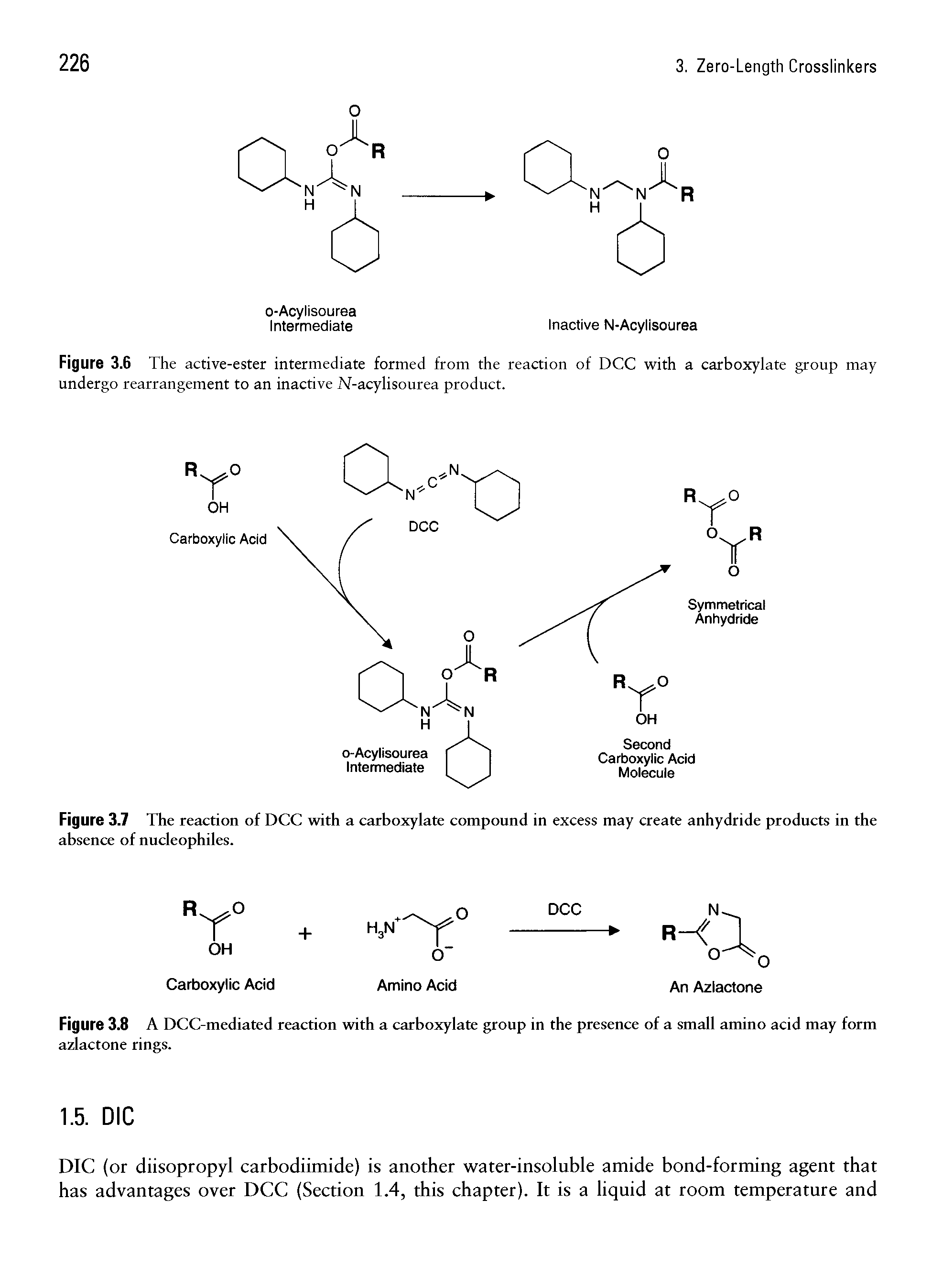 Figure 3.7 The reaction of DCC with a carboxylate compound in excess may create anhydride products in the absence of nucleophiles.