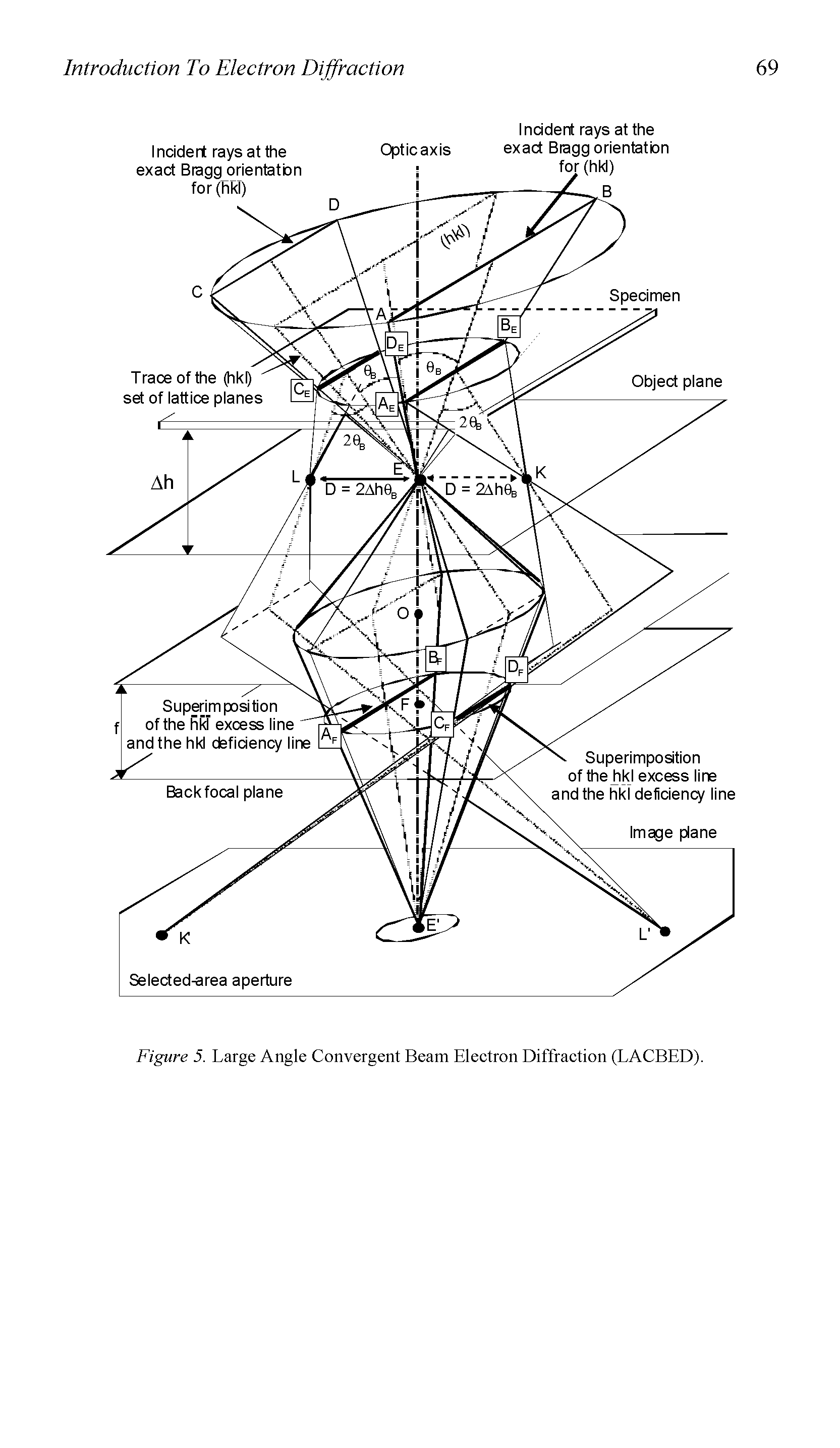 Figure 5. Large Angle Convergent Beam Eleetron Diffraetion (LACBED).
