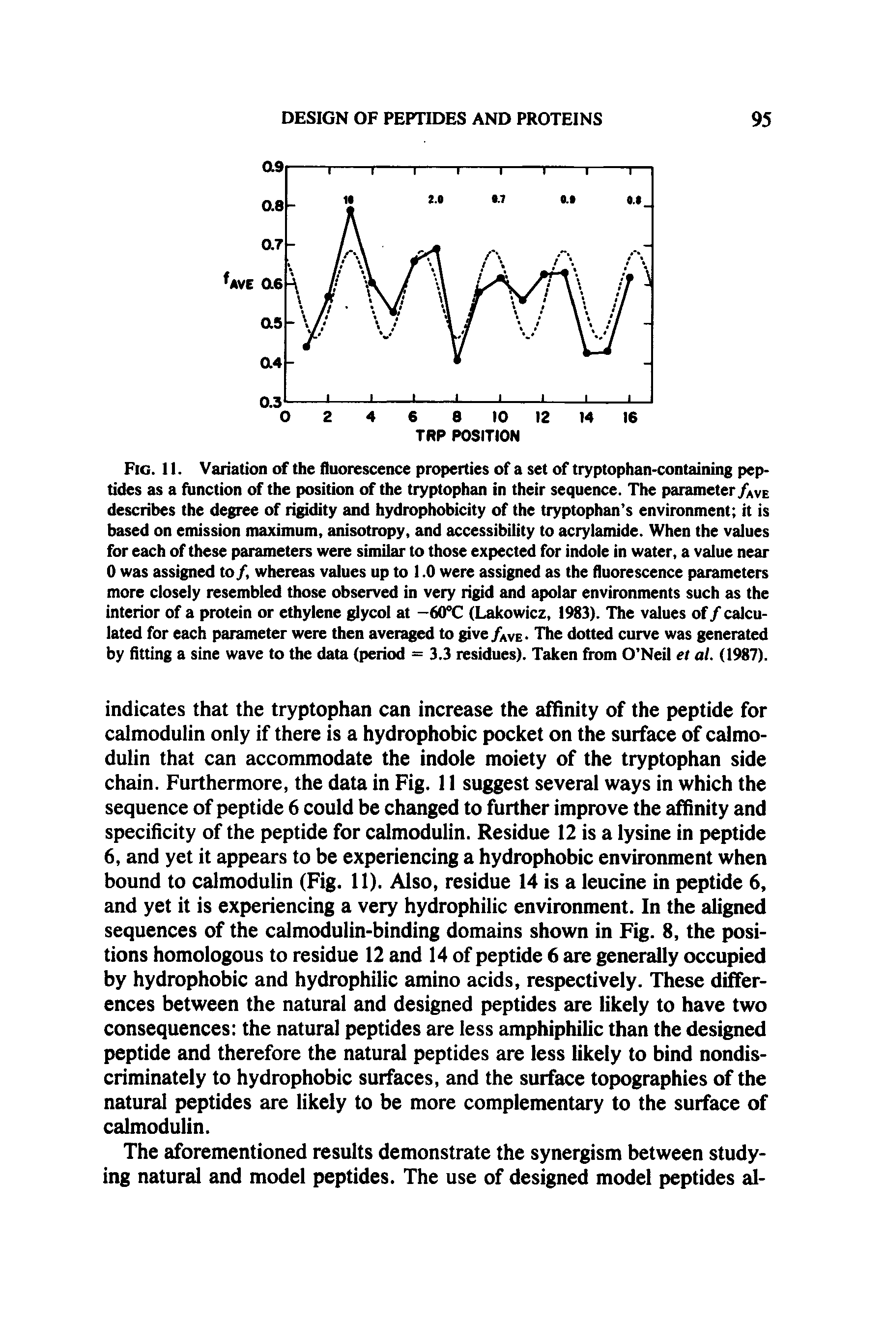 Fig. 11. Variation of the fluorescence properties of a set of tryptophan-containing peptides as a function of the position of the tryptophan in their sequence. The parameter/AVe describes the degree of rigidity and hydrophobicity of the tryptophan s environment it is based on emission maximum, anisotropy, and accessibility to acrylamide. When the values for each of these parameters were similar to those expected for indole in water, a value near 0 was assigned to/, whereas values up to 1.0 were assigned as the fluorescence parameters more closely resembled those observed in very rigid and apolar environments such as the interior of a protein or ethylene glycol at -60°C (Lakowicz, 1983). The values of / calculated for each parameter were then averaged to give /AVe- The dotted curve was generated by fitting a sine wave to the data (period = 3.3 residues). Taken from O Neil et al. (1987).