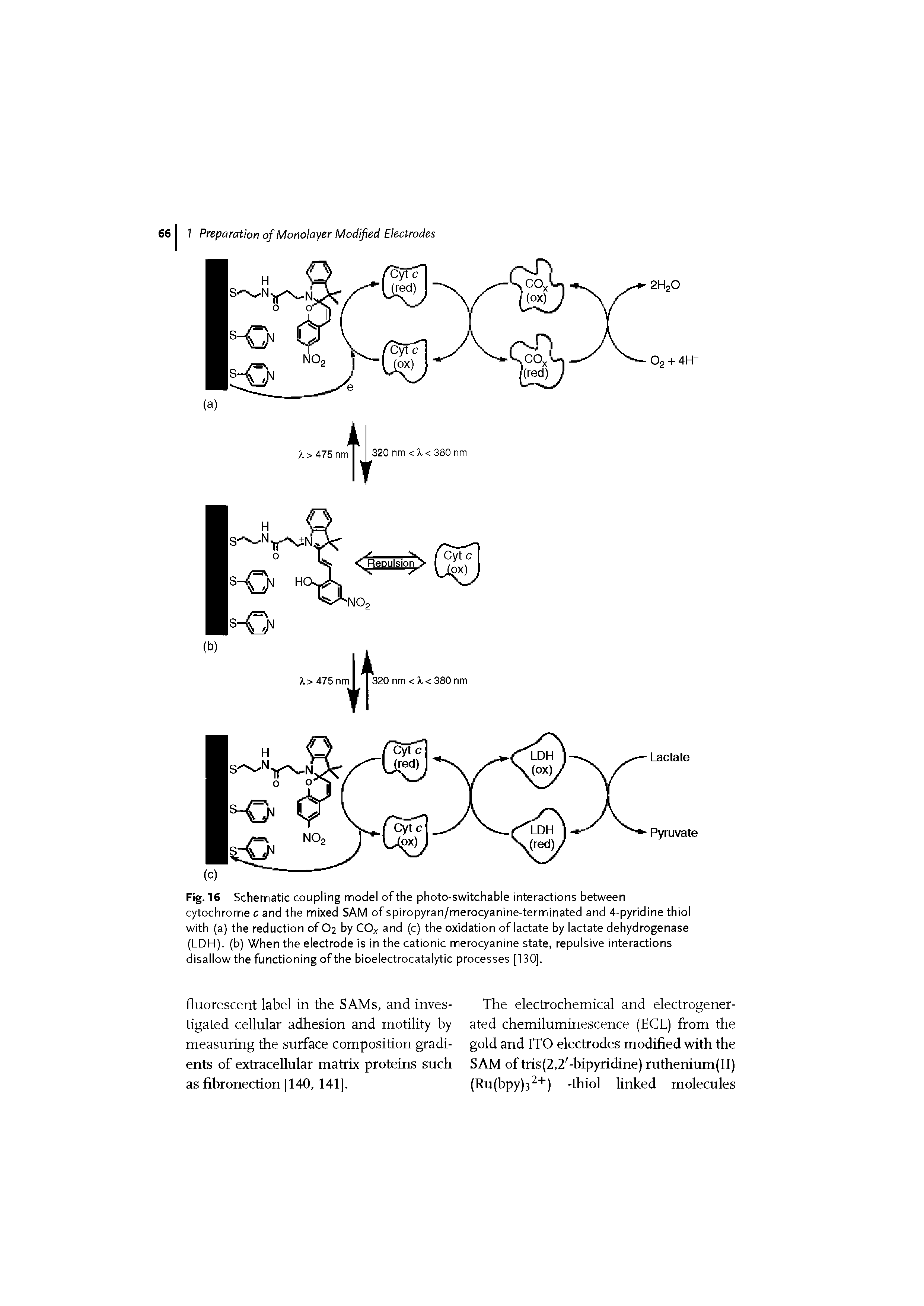 Fig. 16 Schematic coupling model of the photo-switchable interactions between cytochrome c and the mixed SAM of spiropyran/merocyanine-terminated and 4-pyridine thiol with (a) the reduction of O2 by COx and (c) the oxidation of lactate by lactate dehydrogenase (LDH). (b) When the electrode is in the cationic merocyanine state, repulsive interactions disallow the functioning of the bioelectrocatalytic processes [130].