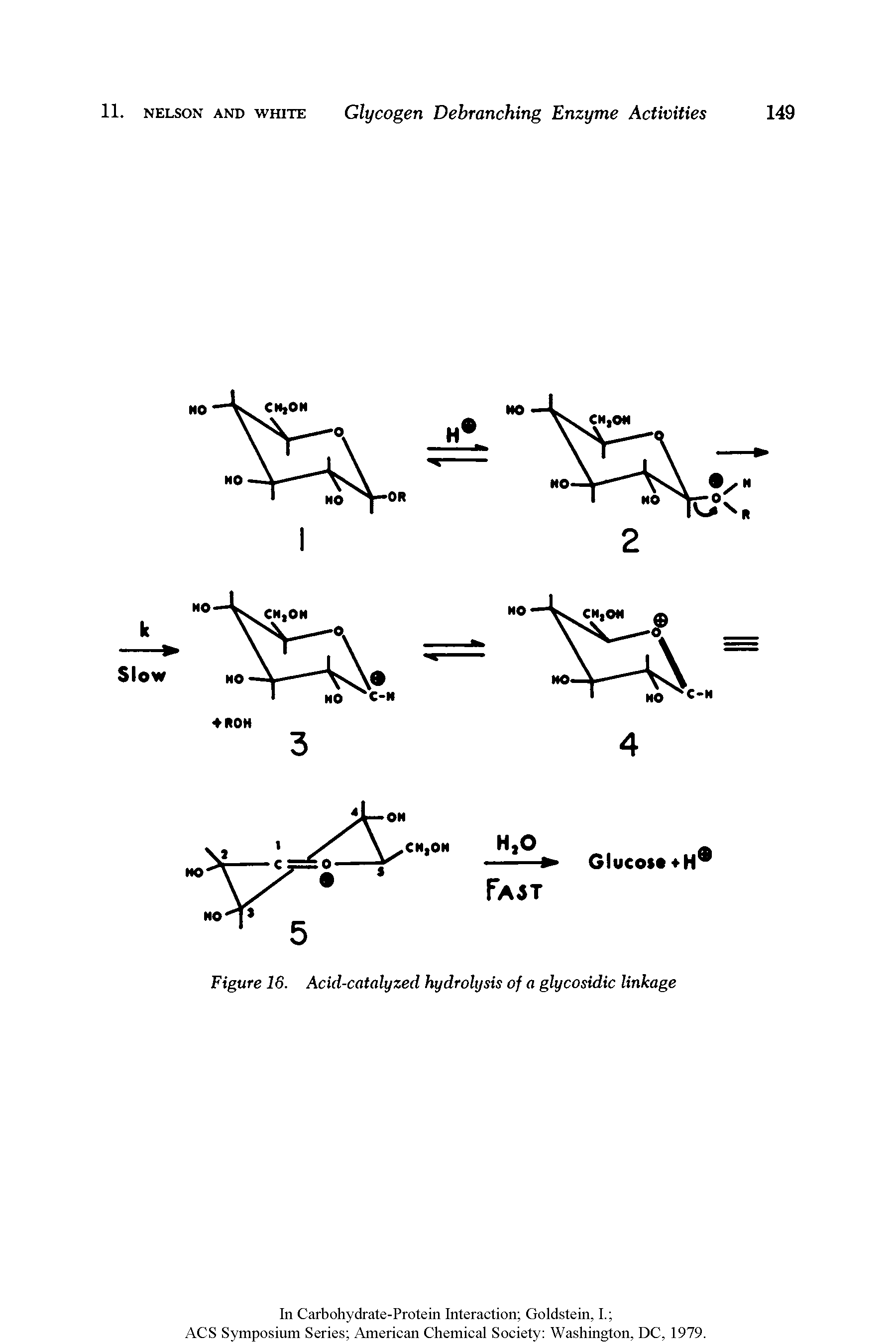 Figure 16. Acid-catalyzed hydrolysis of a glycosidic linkage...