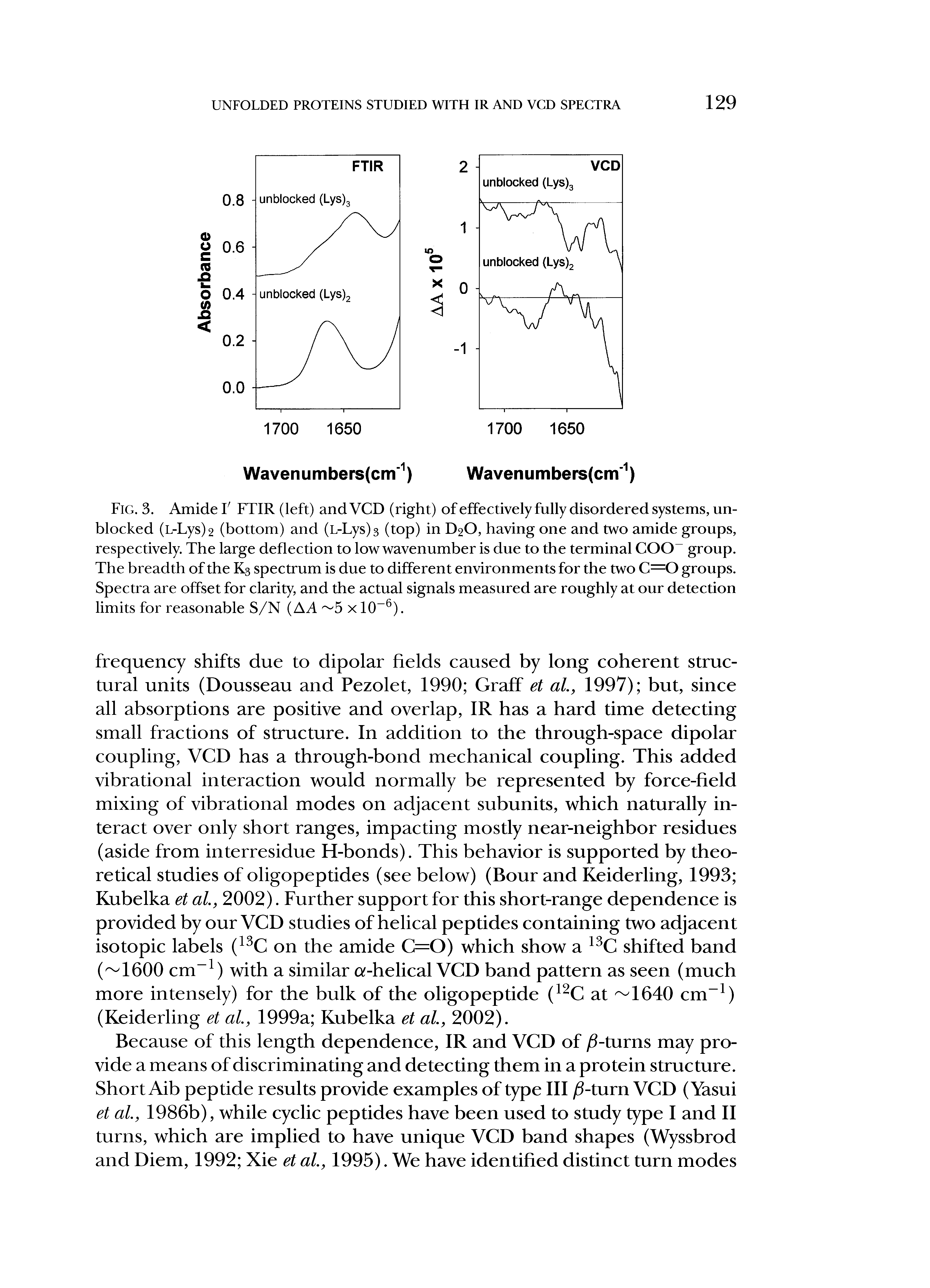 Fig. 3. Amide F FTIR (left) and VCD (right) of effectively fully disordered systems, unblocked (L-Lys)2 (bottom) and (L-Lys)3 (top) in D2O, having one and two amide groups, respectively. The large deflection to low wavenumber is due to the terminal COO- group. The breadth of the K3 spectrum is due to different environments for the two C=0 groups. Spectra are offset for clarity, and the actual signals measured are roughly at our detection limits for reasonable S/N (A A 5 x 10-6).