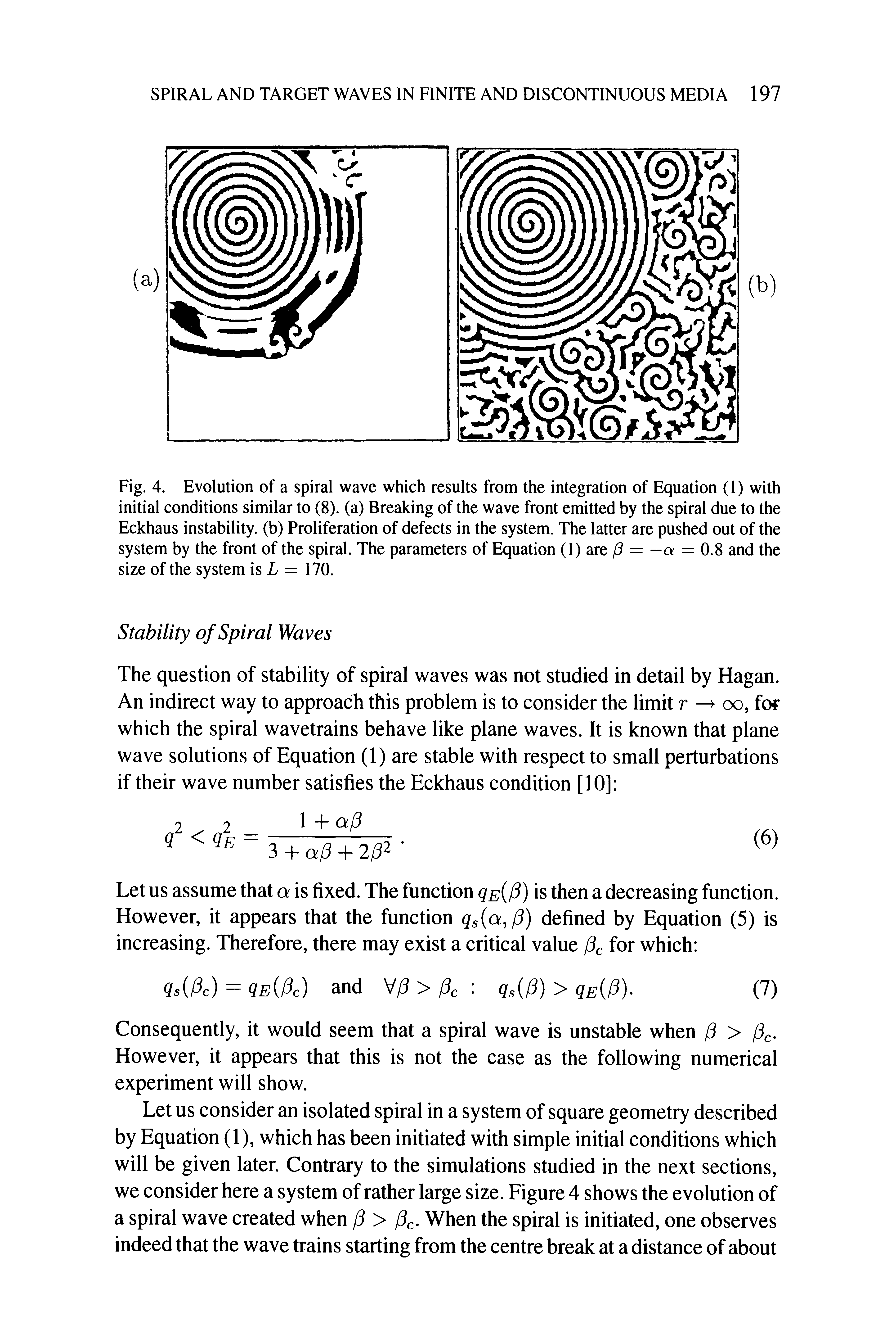 Fig. 4. Evolution of a spiral wave which results from the integration of Equation (1) with initial conditions similar to (8). (a) Breaking of the wave front emitted by the spiral due to the Eckhaus instability, (b) Proliferation of defects in the system. The latter are pushed out of the system by the front of the spiral. The parameters of Equation (1) are fi — -a = 0.8 and the size of the system is L = 170.