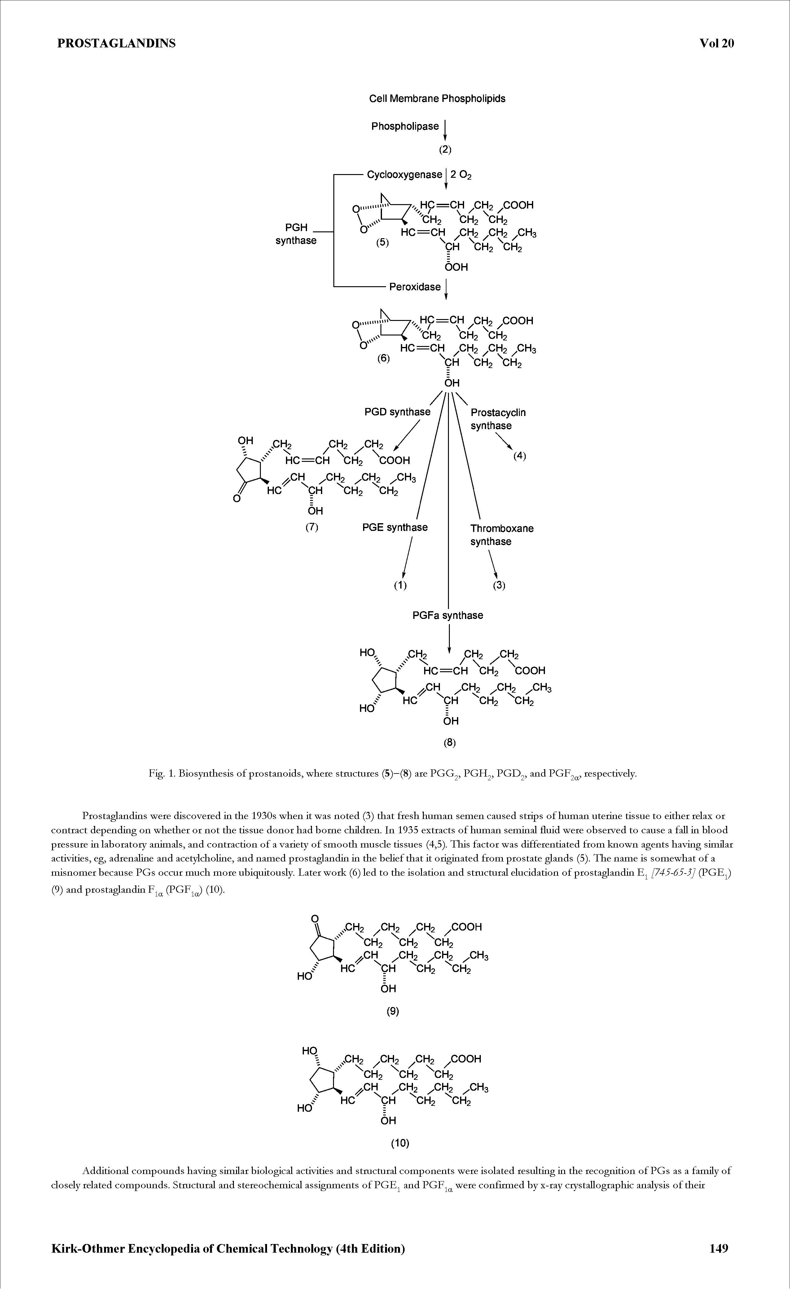 Fig. 1. Biosynthesis of prostanoids, where structures (5)—(8) are PGG2, PGH2, PGD2, and PGF2Q, respectively.