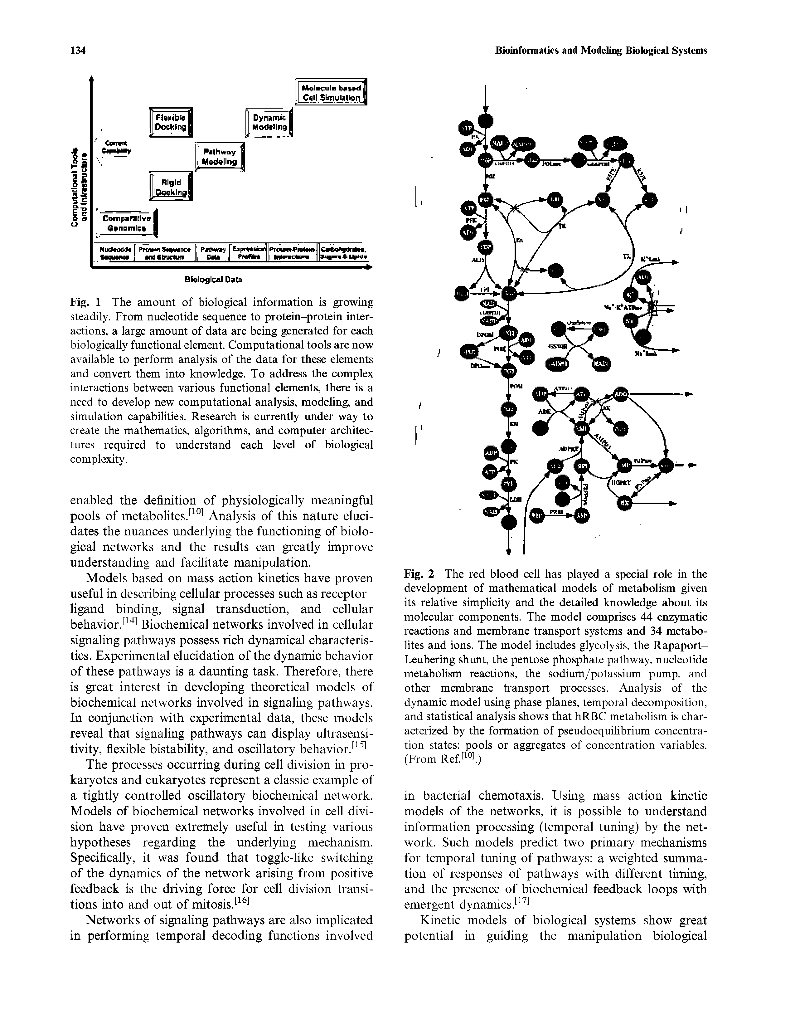 Fig. 2 The red blood cell has played a special role in the development of mathematical models of metabolism given its relative simplicity and the detailed knowledge about its molecular components. The model comprises 44 enzymatic reactions and membrane transport systems and 34 metabolites and ions. The model includes glycolysis, the Rapaport-Leubering shunt, the pentose phosphate pathway, nucleotide metabolism reactions, the sodium/potassium pump, and other membrane transport processes. Analysis of the dynamic model using phase planes, temporal decomposition, and statistical analysis shows that hRBC metabolism is characterized by the formation of pseudoequilibrium concentration states pools or aggregates of concentration variables. (From Ref...