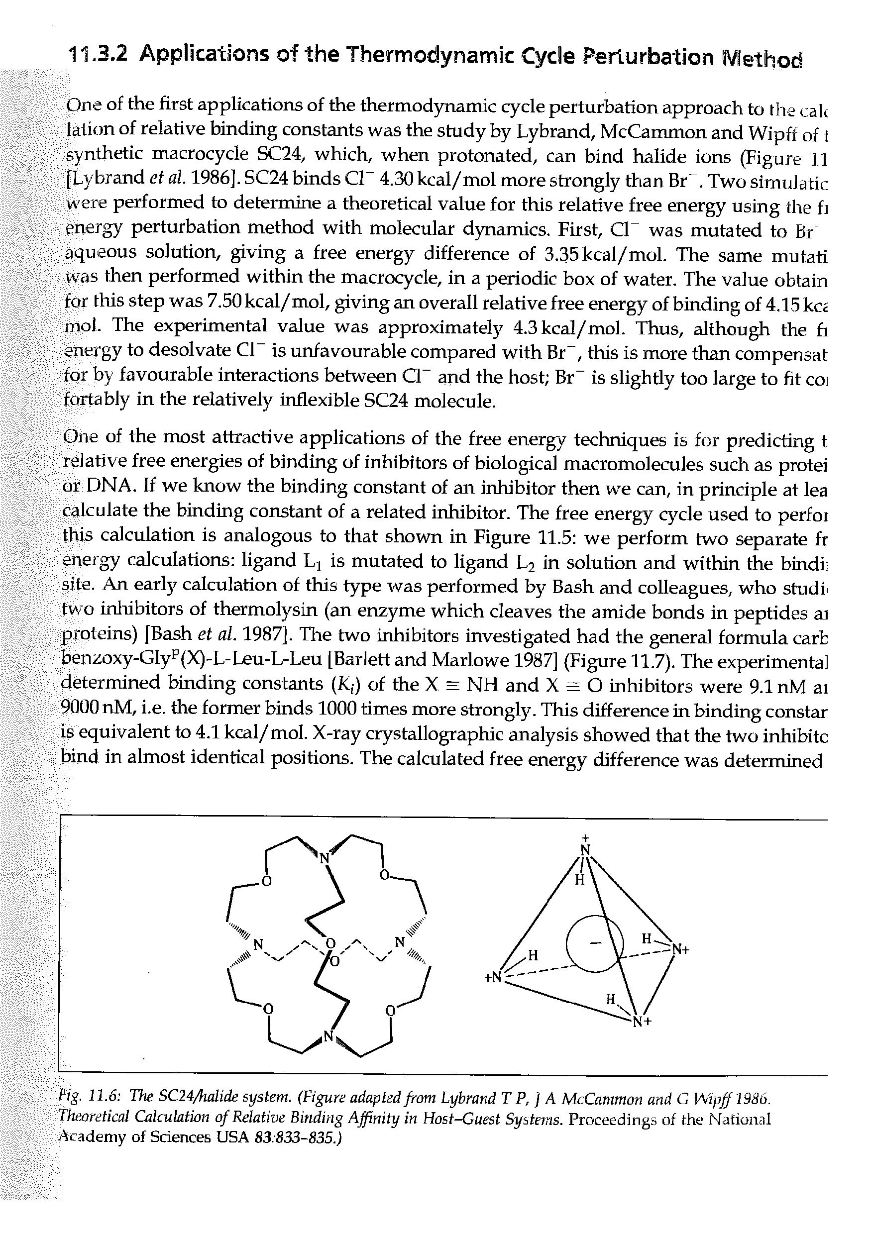 Fig. 11.6 The SC24/halide system. (Figure adapted from Lybrand T P, ] A McCammon and G Wipff 1986. Theoretical Calculation of Relative Binding Affinity in Host-Guest Systems. Proceedings of the National Al adeniy of Sciences USA 83 833-835.)...