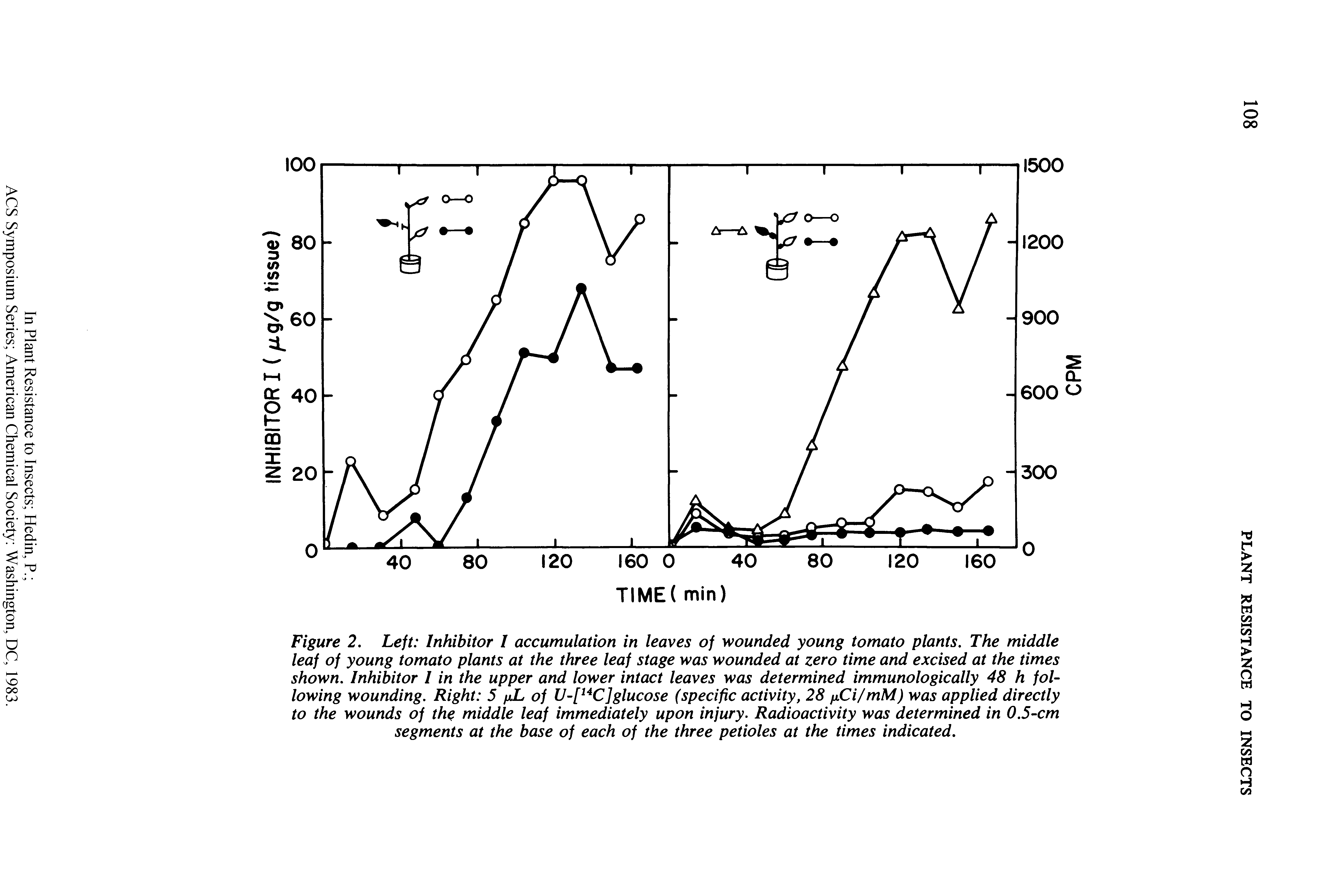 Figure 2. Left Inhibitor I accumulation in leaves of wounded young tomato plants. The middle leaf of young tomato plants at the three leaf stage was wounded at zero time and excised at the times shown. Inhibitor I in the upper and lower intact leaves was determined immunologically 48 h following wounding. Right 5 /xL of glucose (specific activity, 28 Ci/mM) was applied directly...