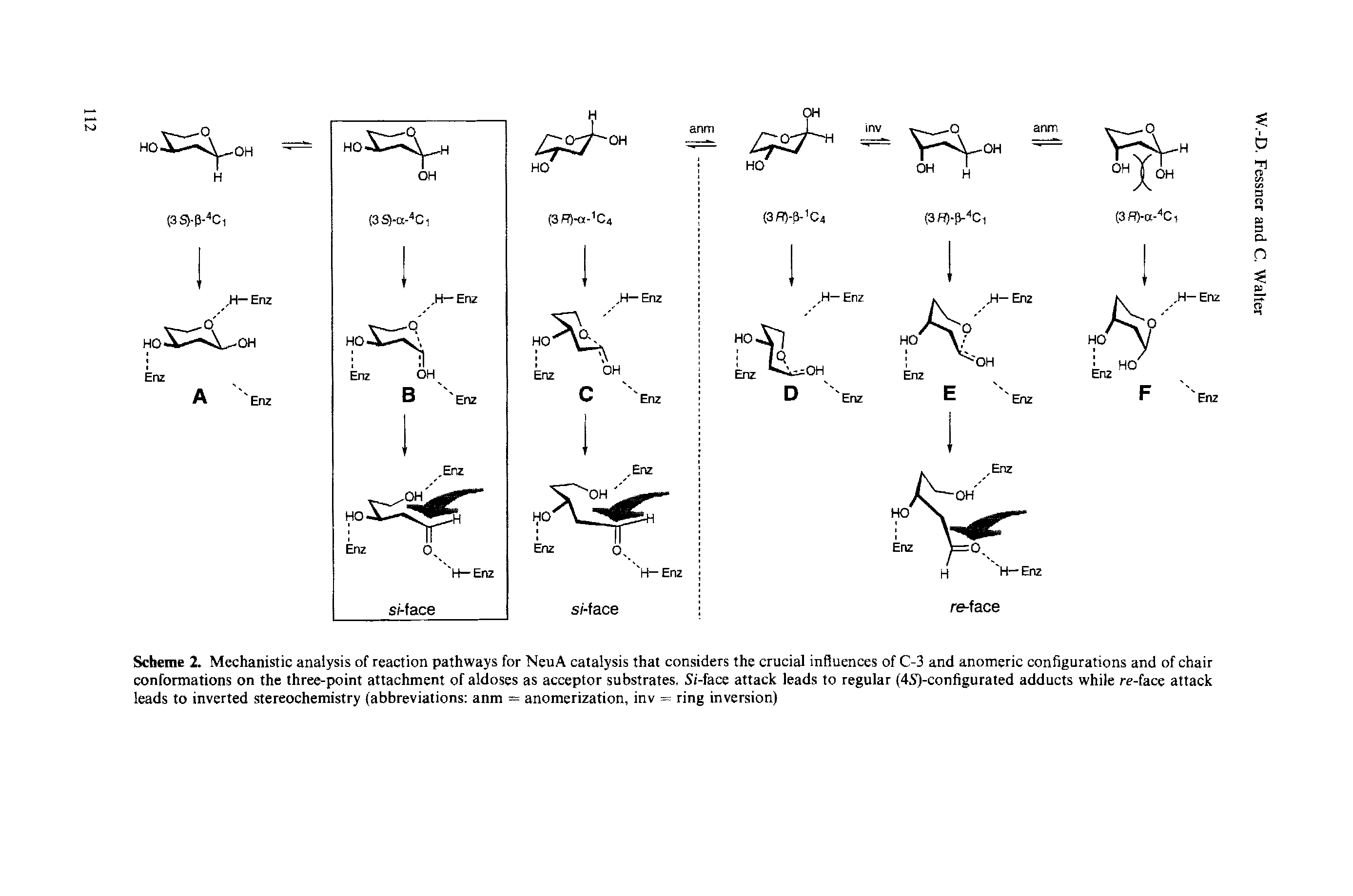 Scheme 2. Mechanistic analysis of reaction pathways for NeuA catalysis that considers the crucial influences of C-3 and anomeric configurations and of chair conformations on the three-point attachment of aldoses as acceptor substrates, Si-face attack leads to regular (4S)-configurated adducts while re-face attack leads to inverted stereochemistry (abbreviations anm = anomerization, inv = ring inversion)...
