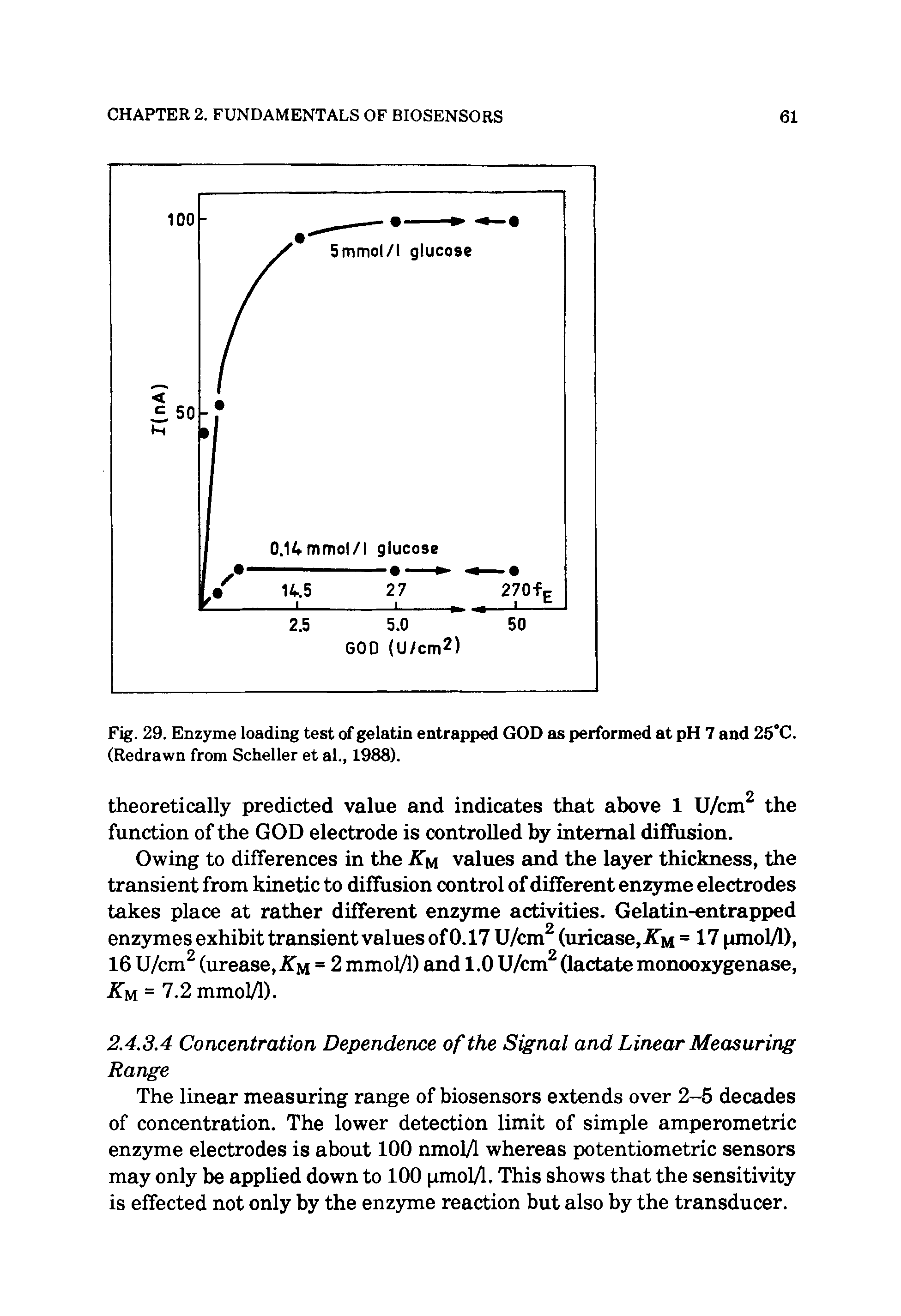 Fig. 29. Enzyme loading test of gelatin entrapped GOD as performed at pH 7 and 25°C. (Redrawn from Scheller et al., 1988).