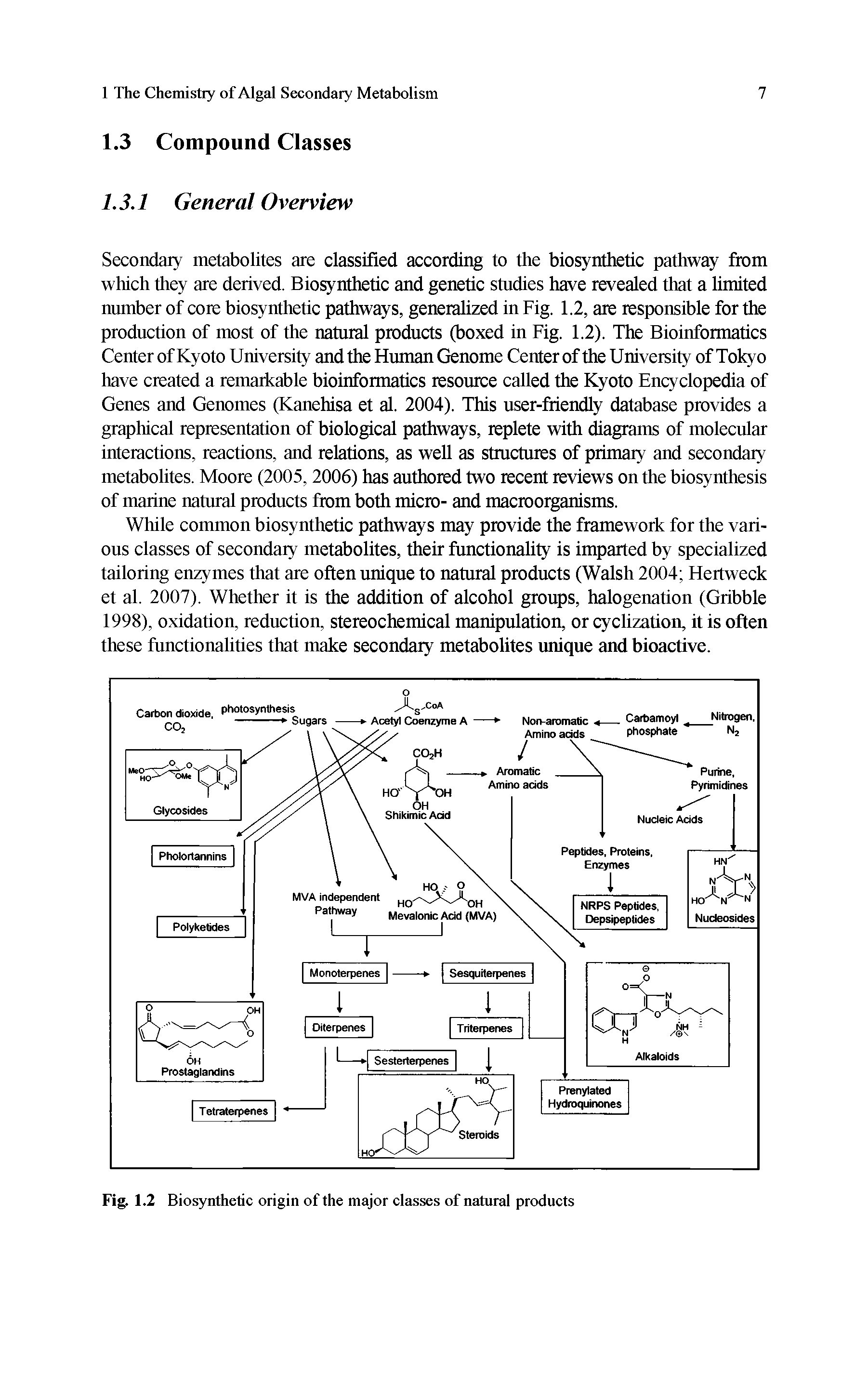 Fig. 1.2 Biosynthetic origin of the major classes of natural products...