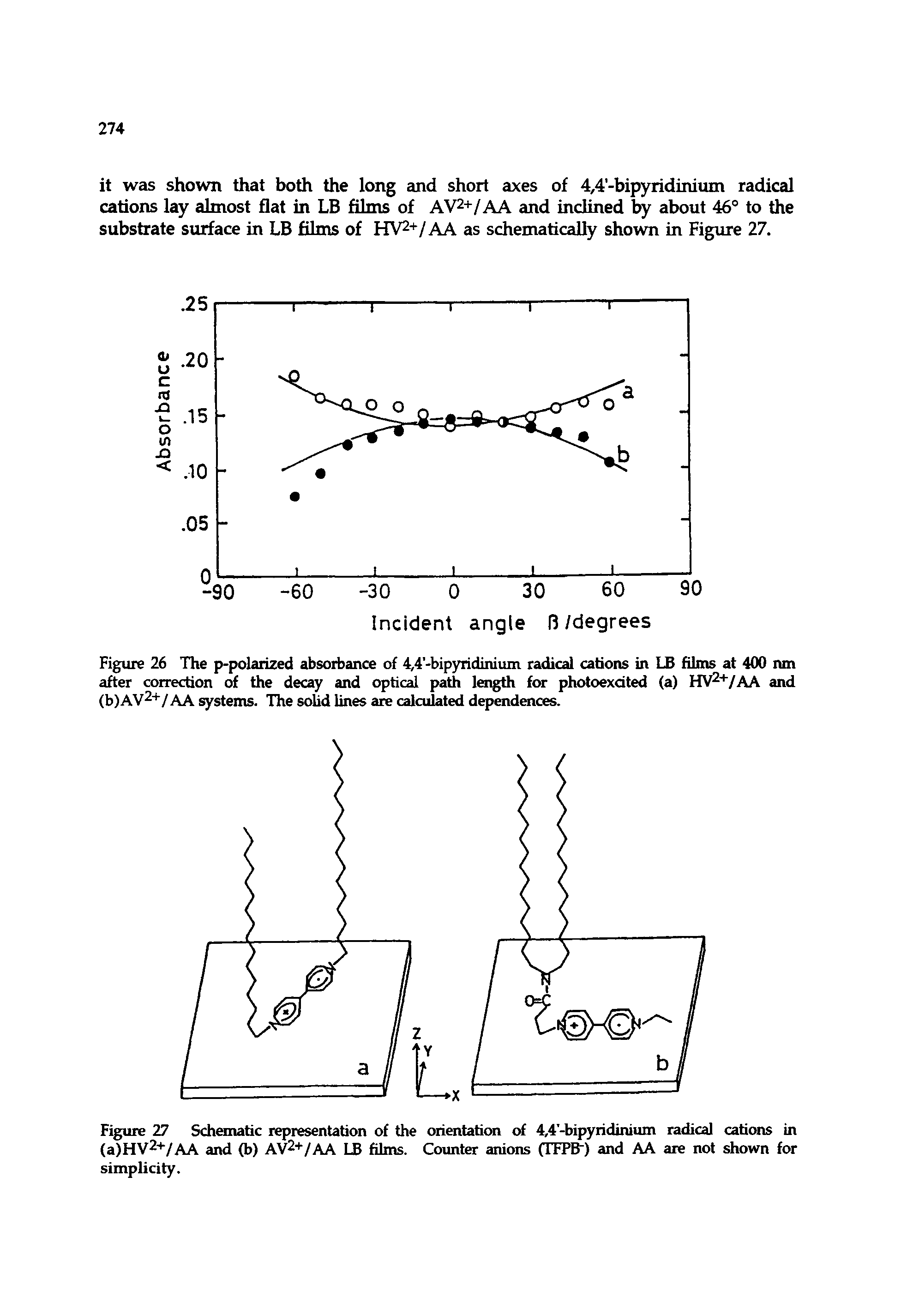 Figure 26 The p-polarized absorbance of 4,4,-bipyridinium radical cations in LB films at 400 ran after correction of the decay and optical path length for photoexdted (a) HV2+/AA and (b)AV2+/AA systems. The solid lines are calculated dependences.