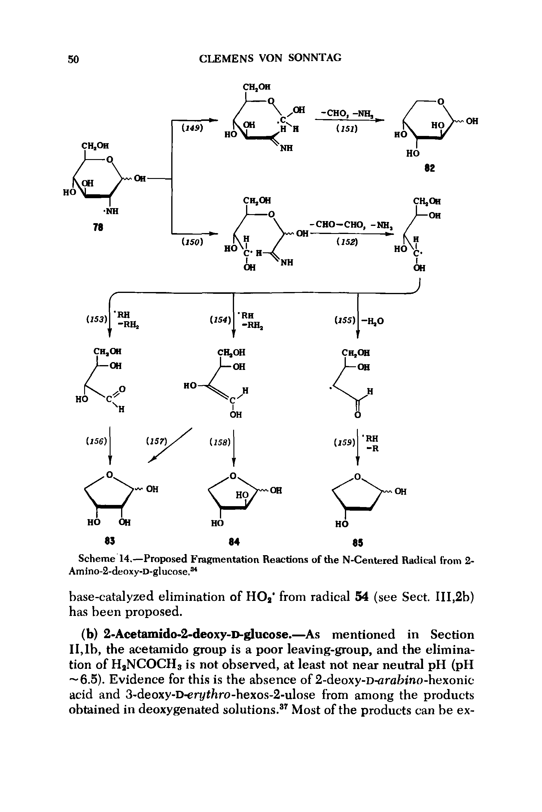 Scheme 14.—Proposed Fragmentation Reactions of the N-Centered Radical from 2-Amino-2-deoxy-D-glucose.34...