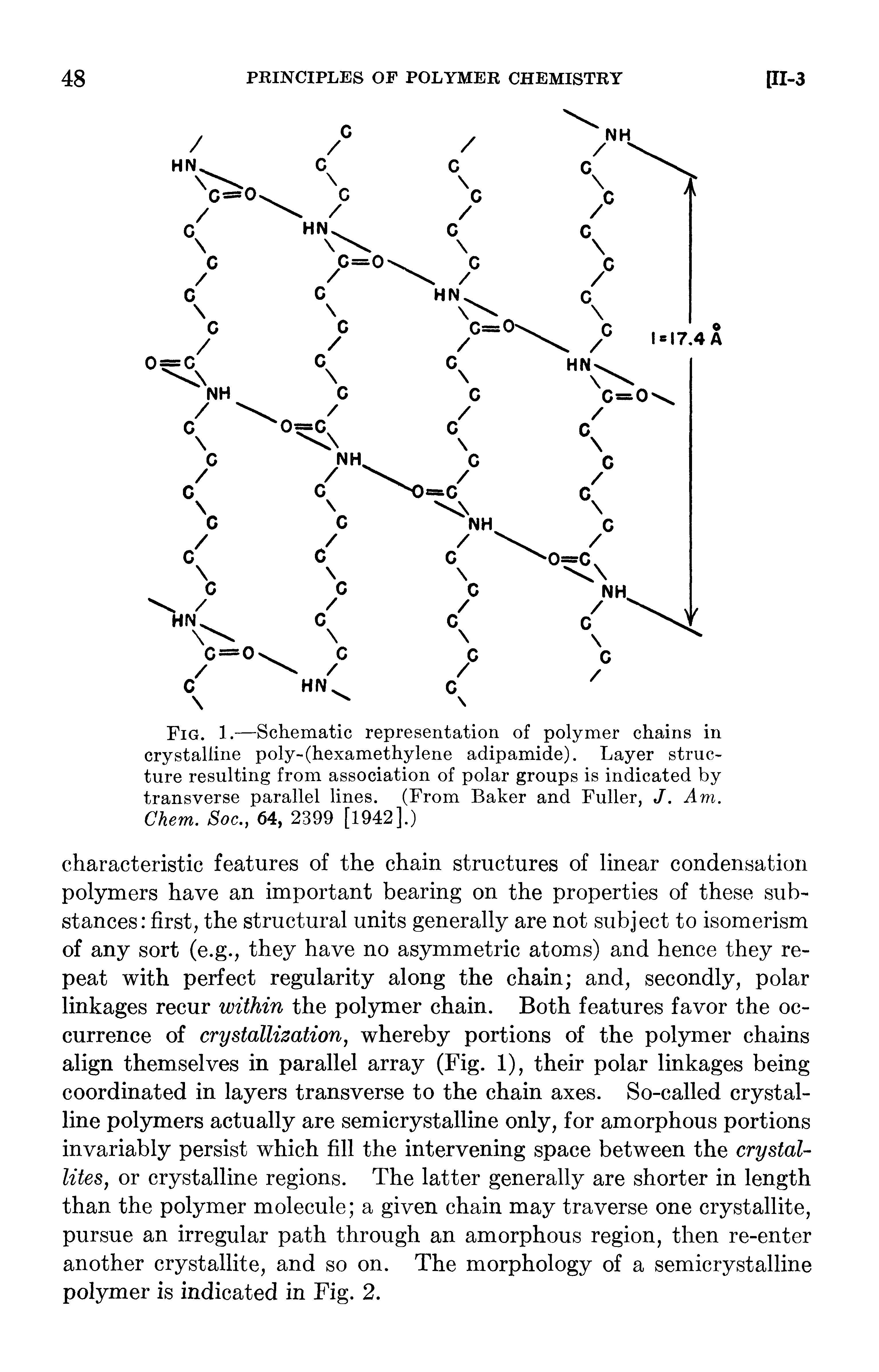 Fig. 1.—Schematic representation of polymer chains in crystalline poly-(hexamethylene adipamide). Layer structure resulting from association of polar groups is indicated by transverse parallel lines. (From Baker and Fuller, J. Am.