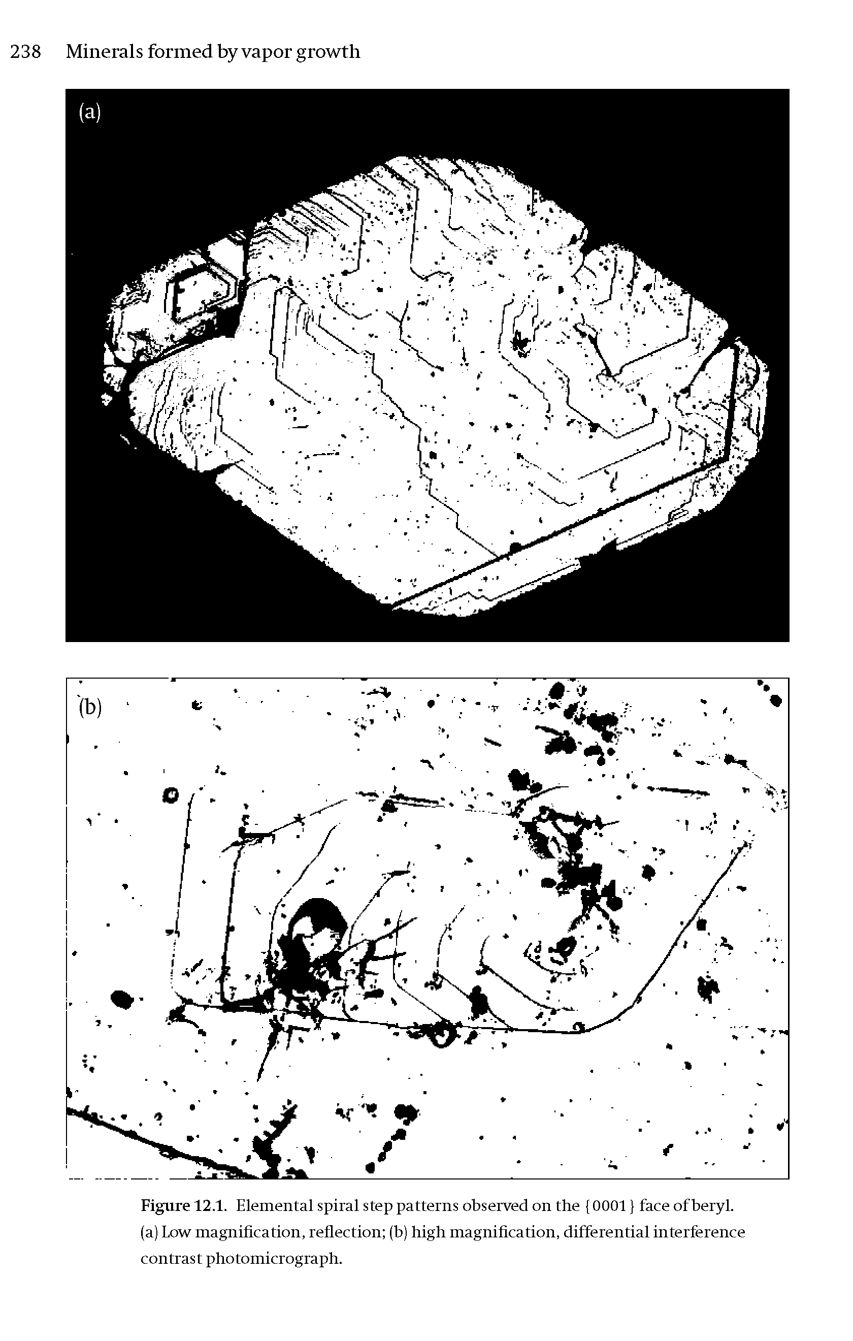 Figure 12.1. Elemental spiral step patterns observed on the 0001 face of beryl, (a) Low magnification, reflection (b) high magnification, differential interference contrast photomicrograph.