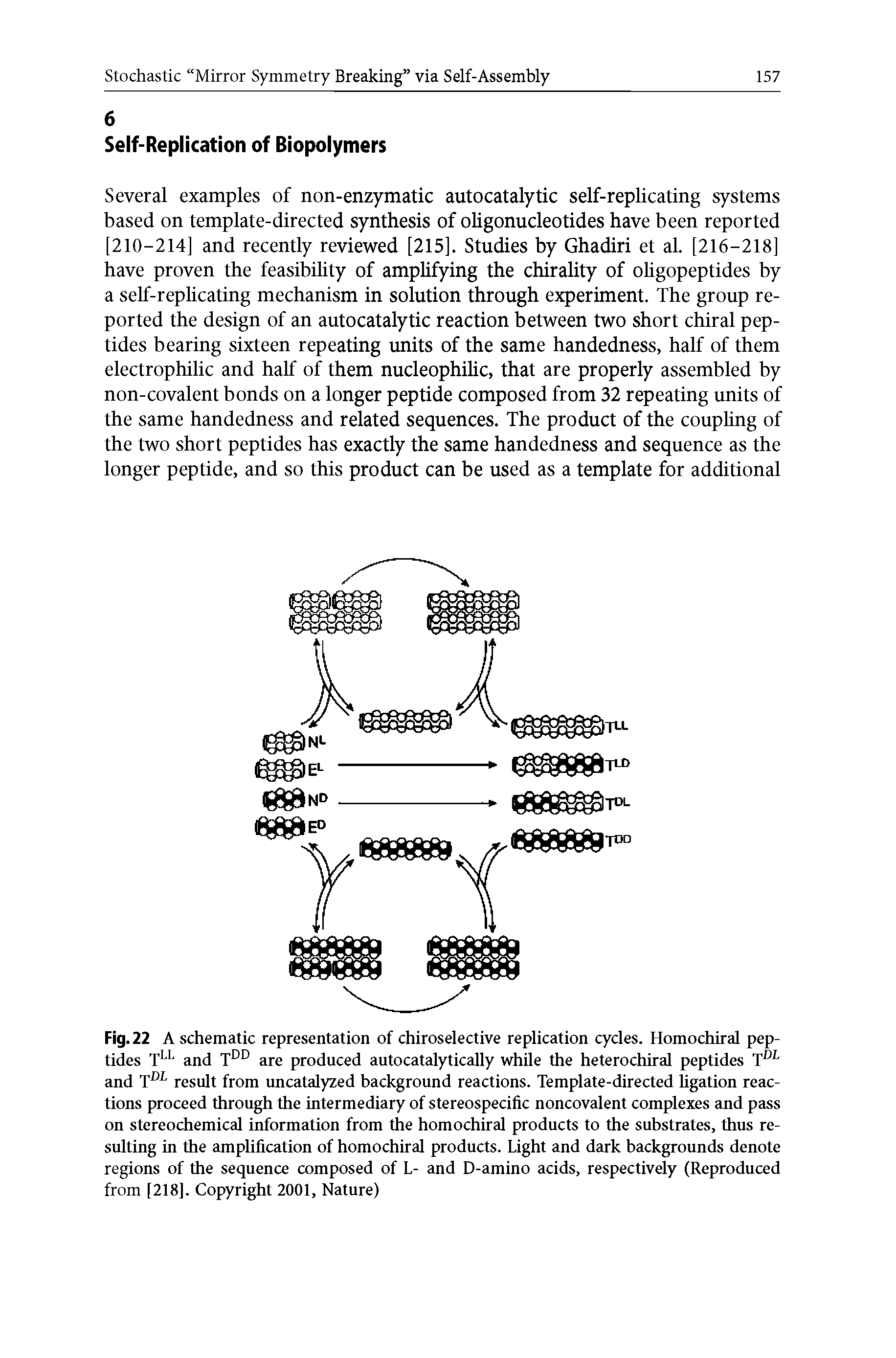 Fig. 22 A schematic representation of chiroselective replication cycles. Homochiral peptides Tll and Tdd are produced autocatalytically while the heterochiral peptides TDL and Tdl result from uncatalyzed background reactions. Template-directed ligation reactions proceed through the intermediary of stereospecific noncovalent complexes and pass on stereochemical information from the homochiral products to the substrates, thus resulting in the amplification of homochiral products. Light and dark backgrounds denote regions of the sequence composed of L- and D-amino acids, respectively (Reproduced from [218], Copyright 2001, Nature)...